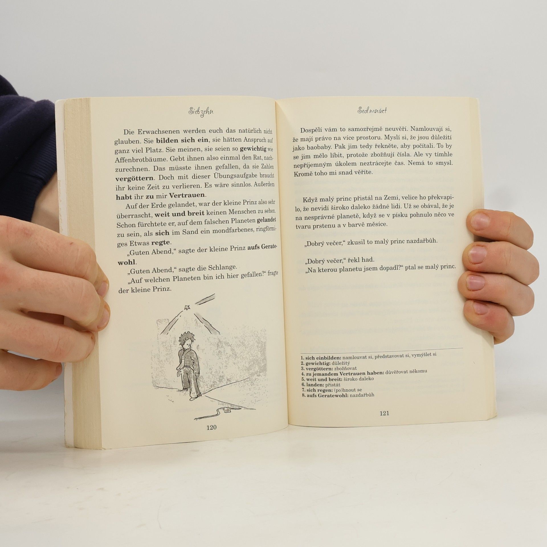 Antoine de Saint-Exupéry Der kleine Prinz = Malý princ