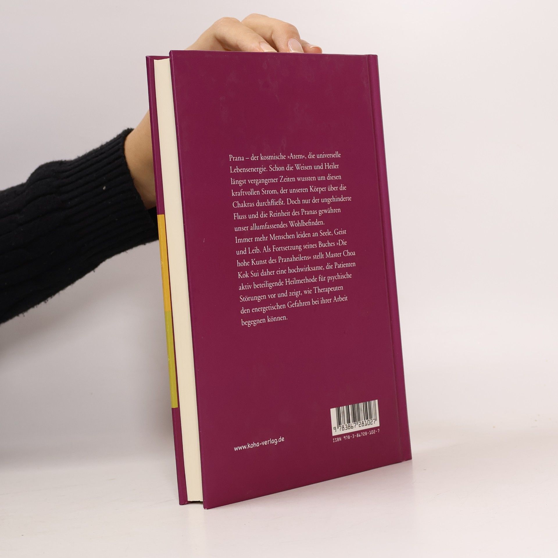 Choa Kok Sui Das Praxisbuch der Prana-Psychotherapie