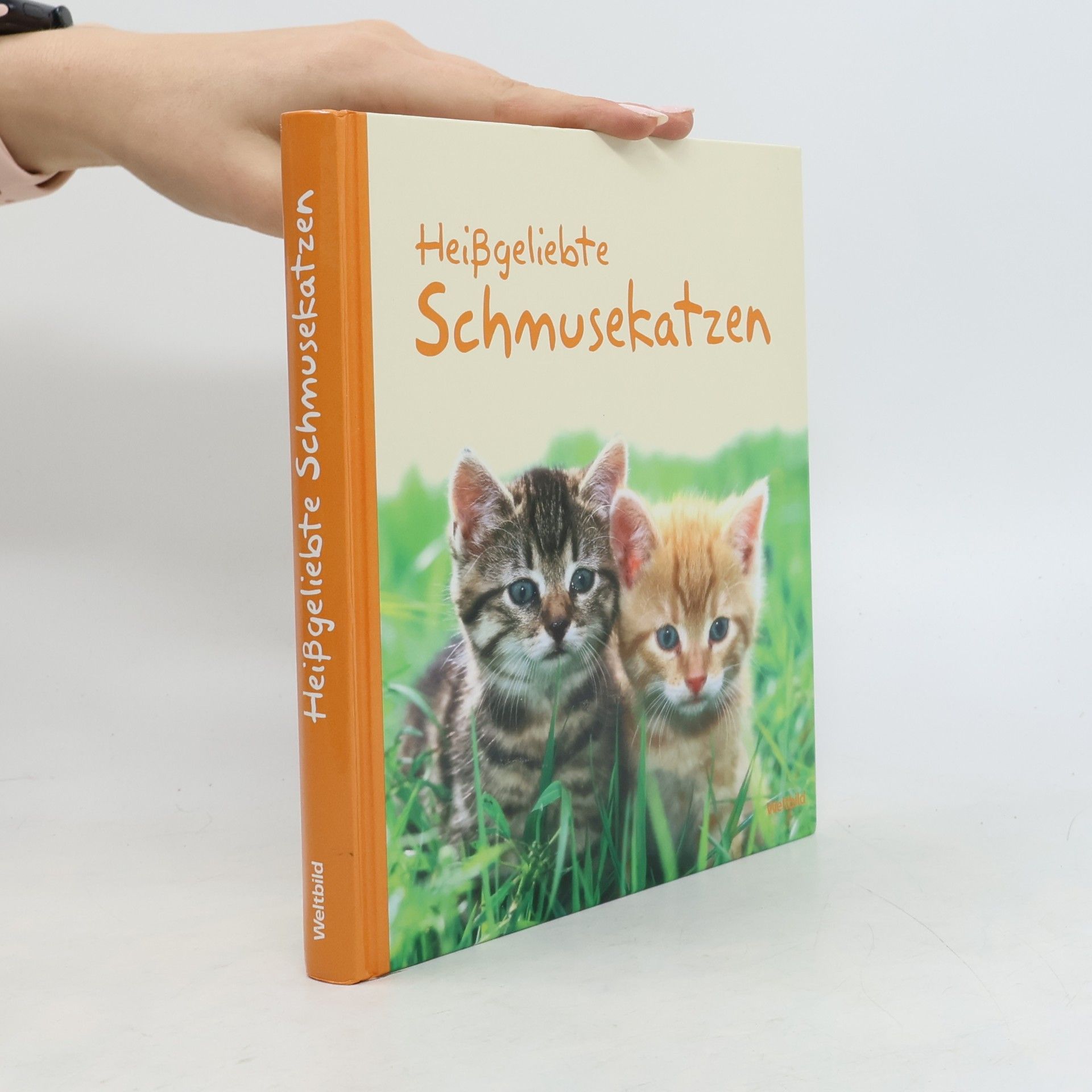 Heißgeliebte Schmusekatzen