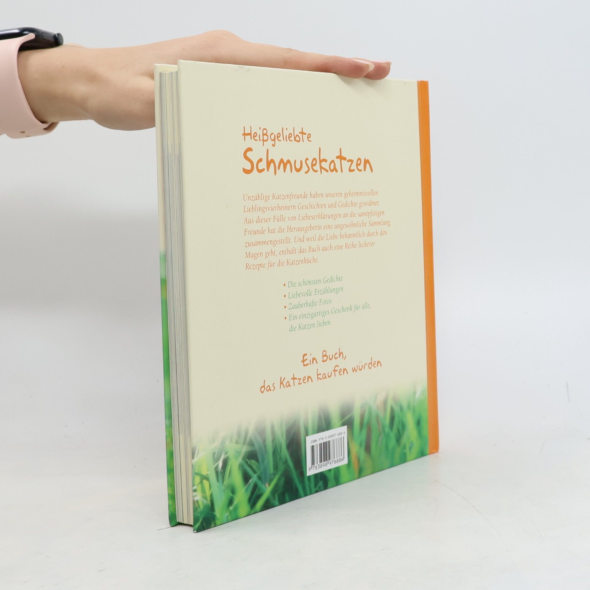 Monika Auberger Heißgeliebte Schmusekatzen