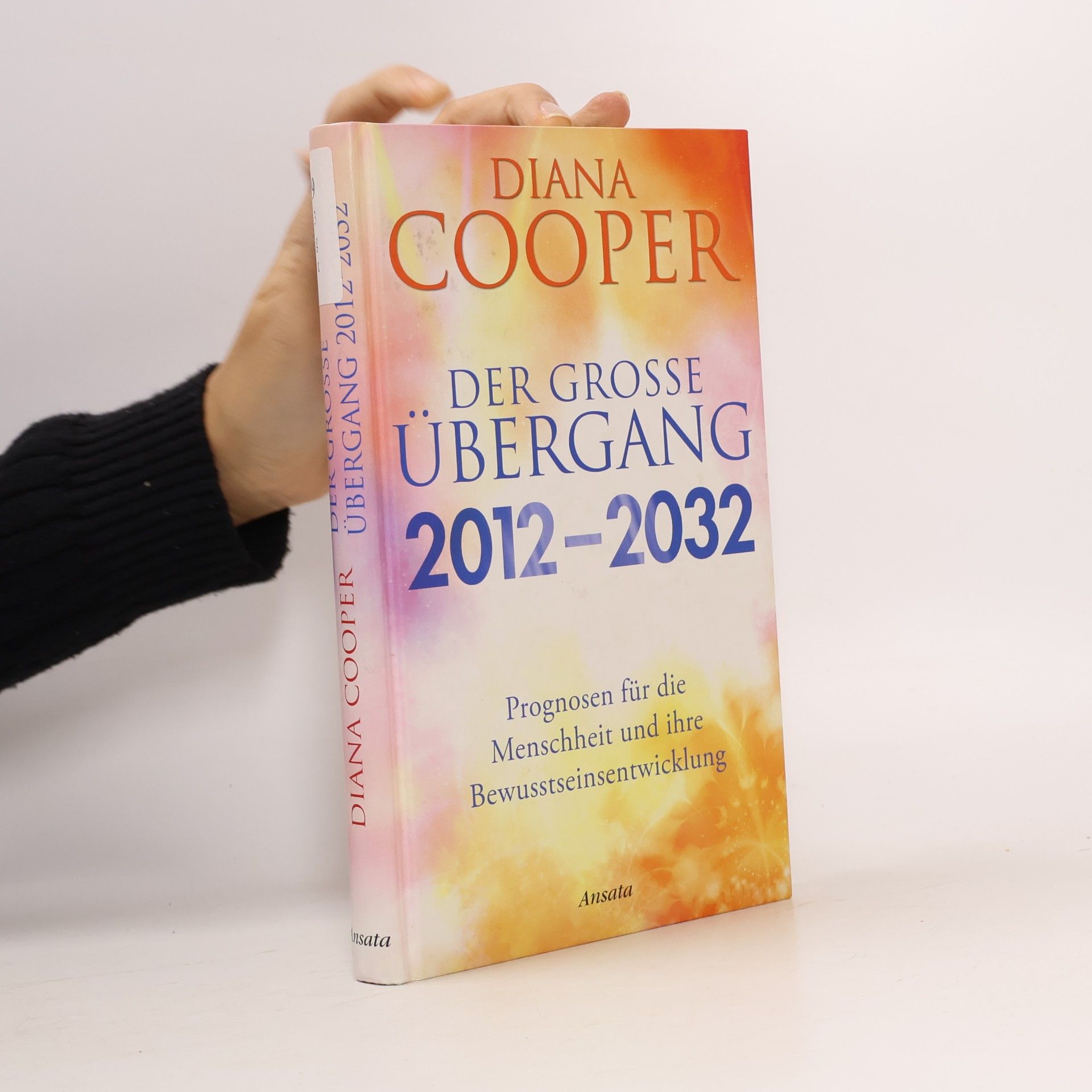 Der große Übergang 2012-2032