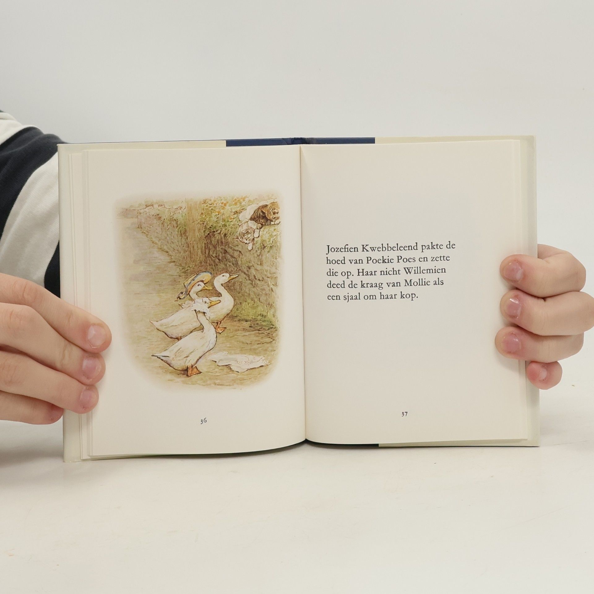 Beatrix Potter Het verhaal van Poekie Poes