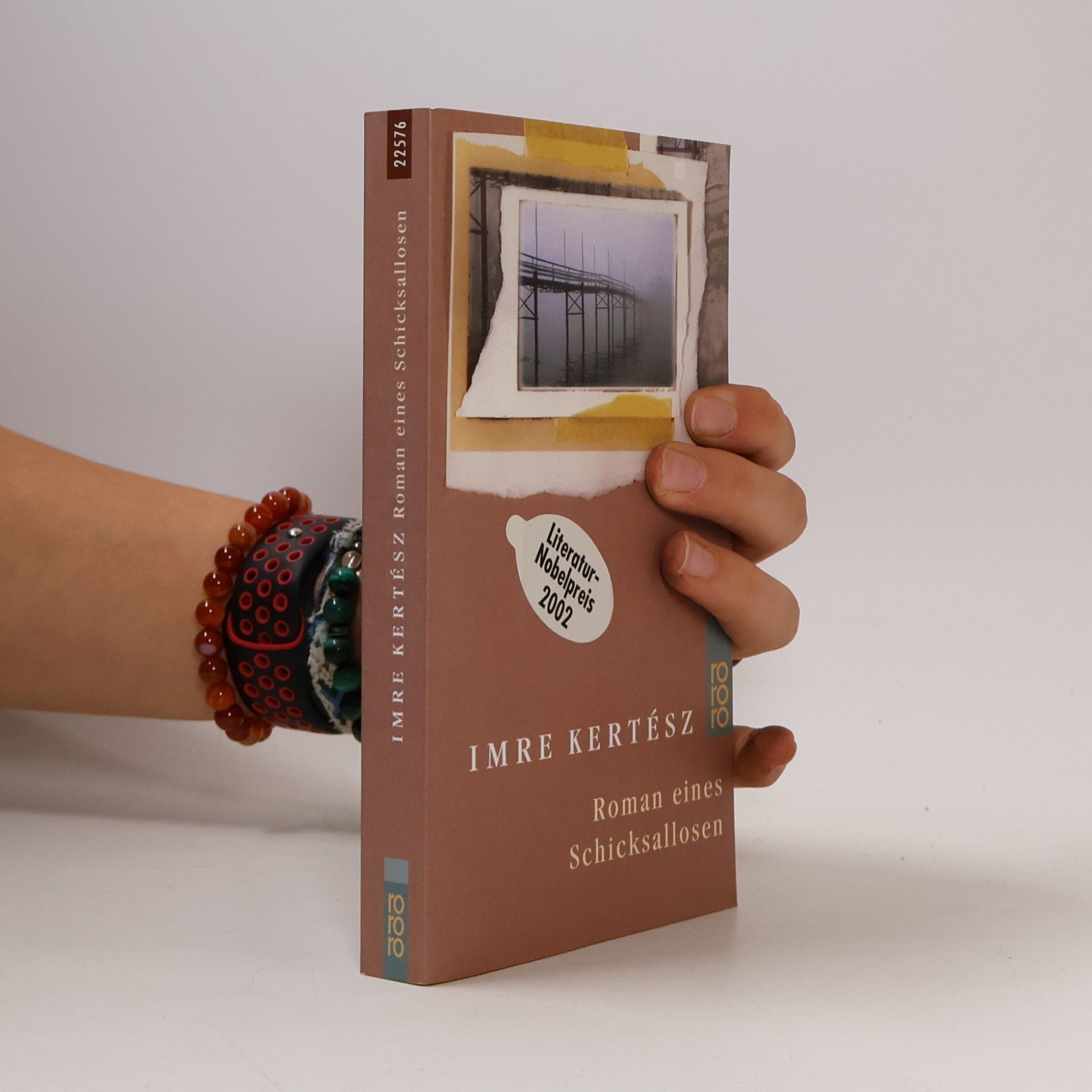 Roman eines Schicksallosen