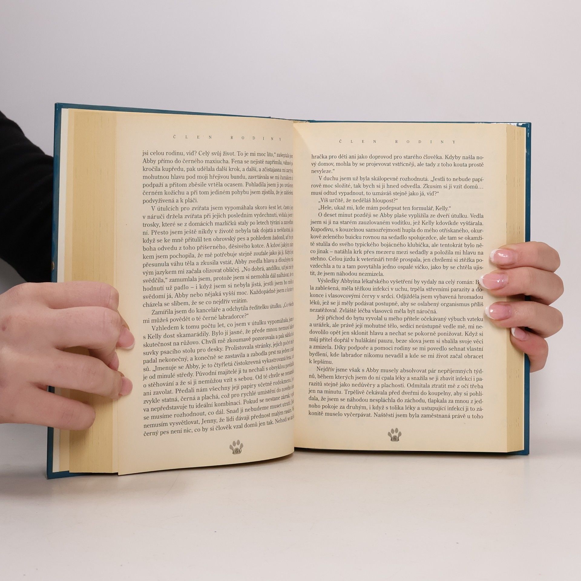 Jack Canfield Slepičí polévka pro milovníky psů