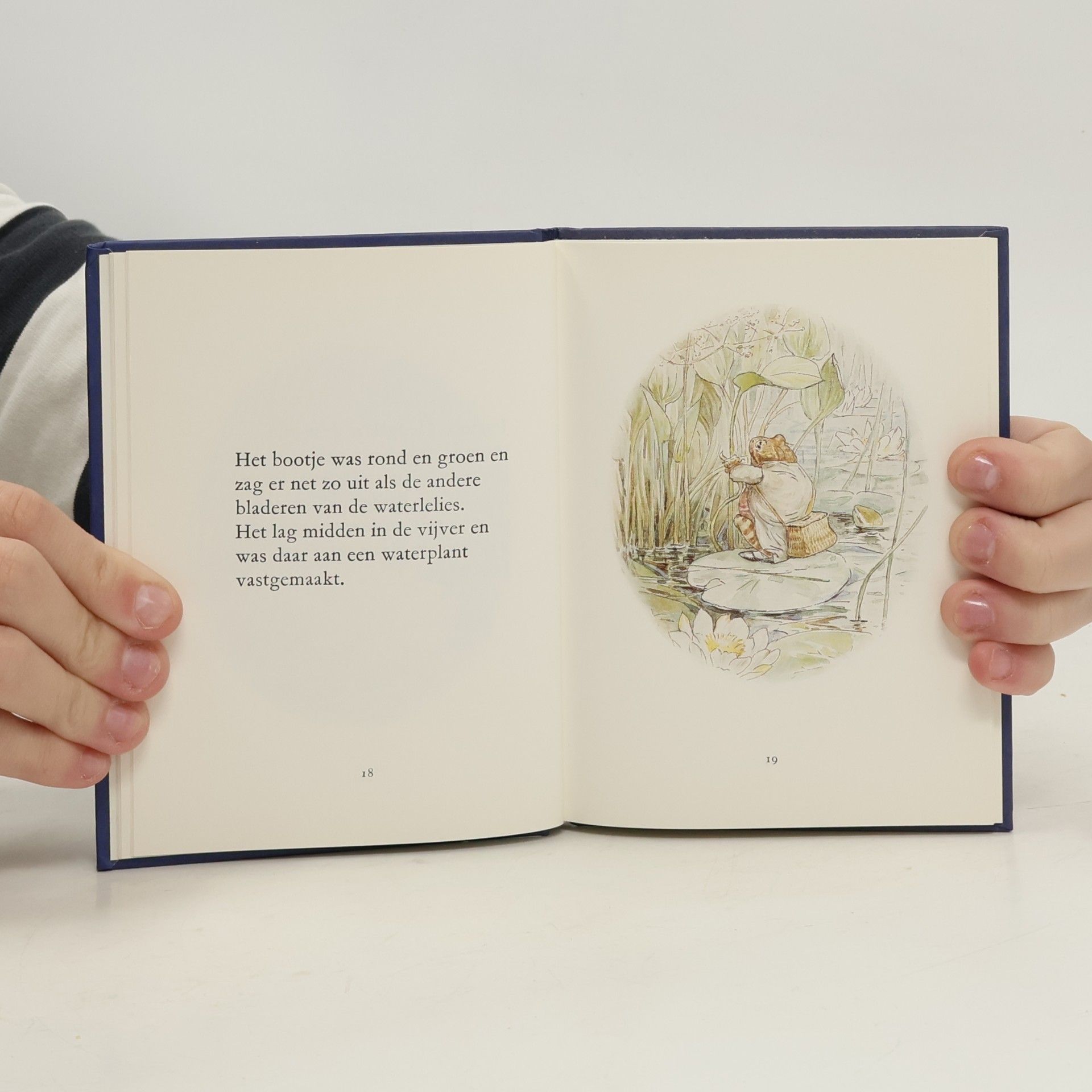 Beatrix Potter Het verhaal van Jeremias Hengelaar