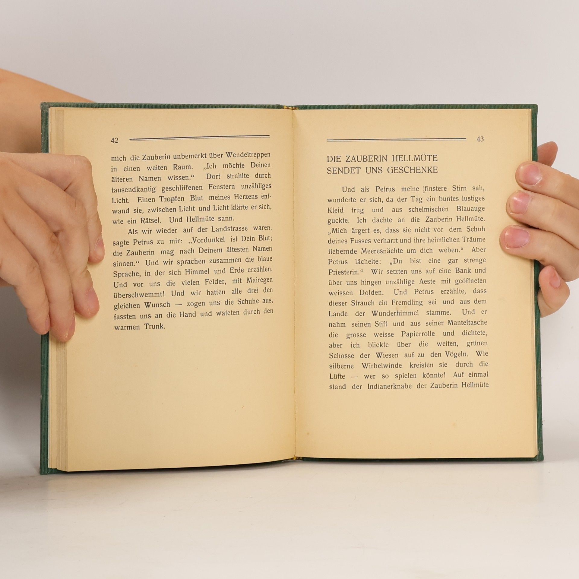 Else Lasker-Schüler Das Peter Hille-Buch