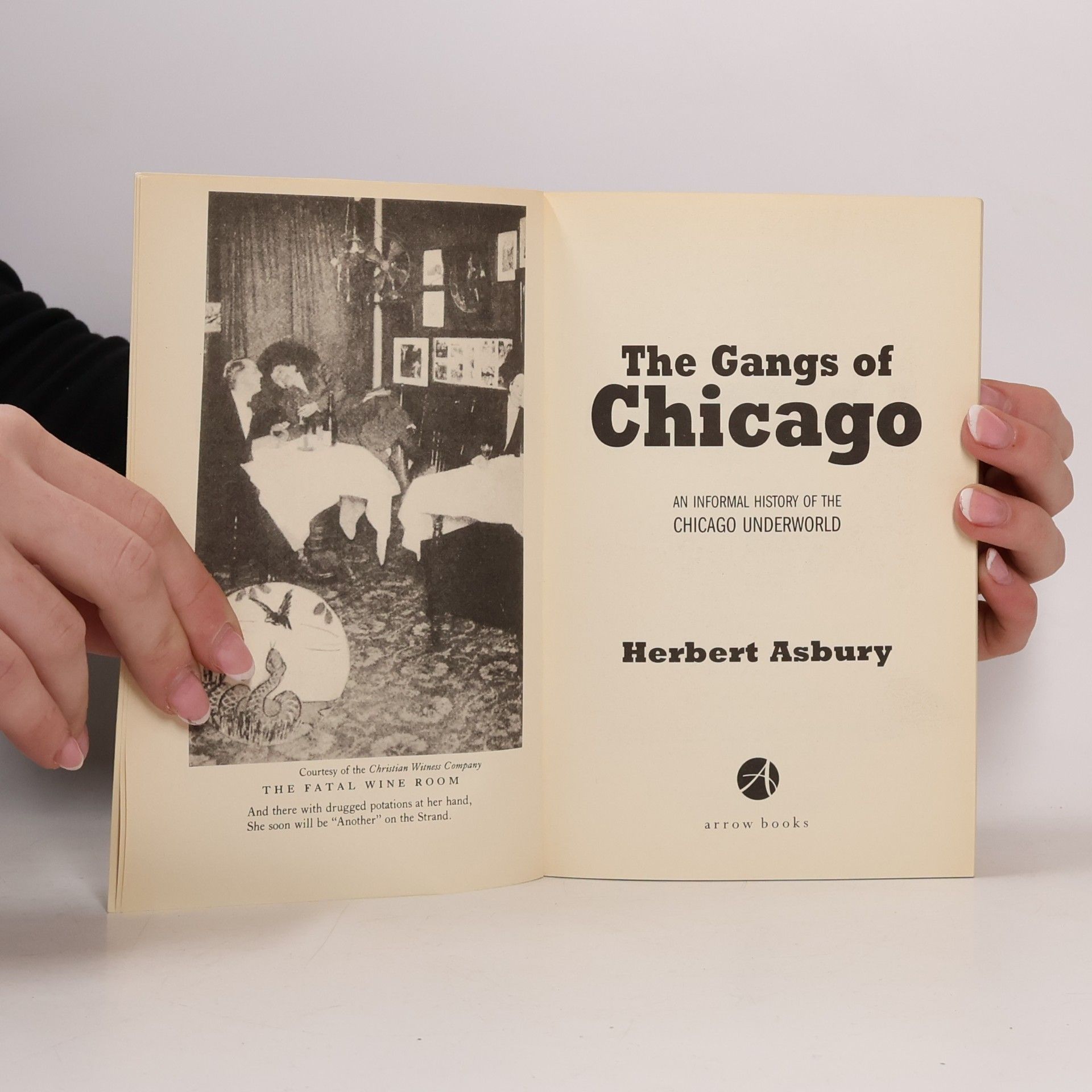 Asbury Herbert The Gangs of Chicago