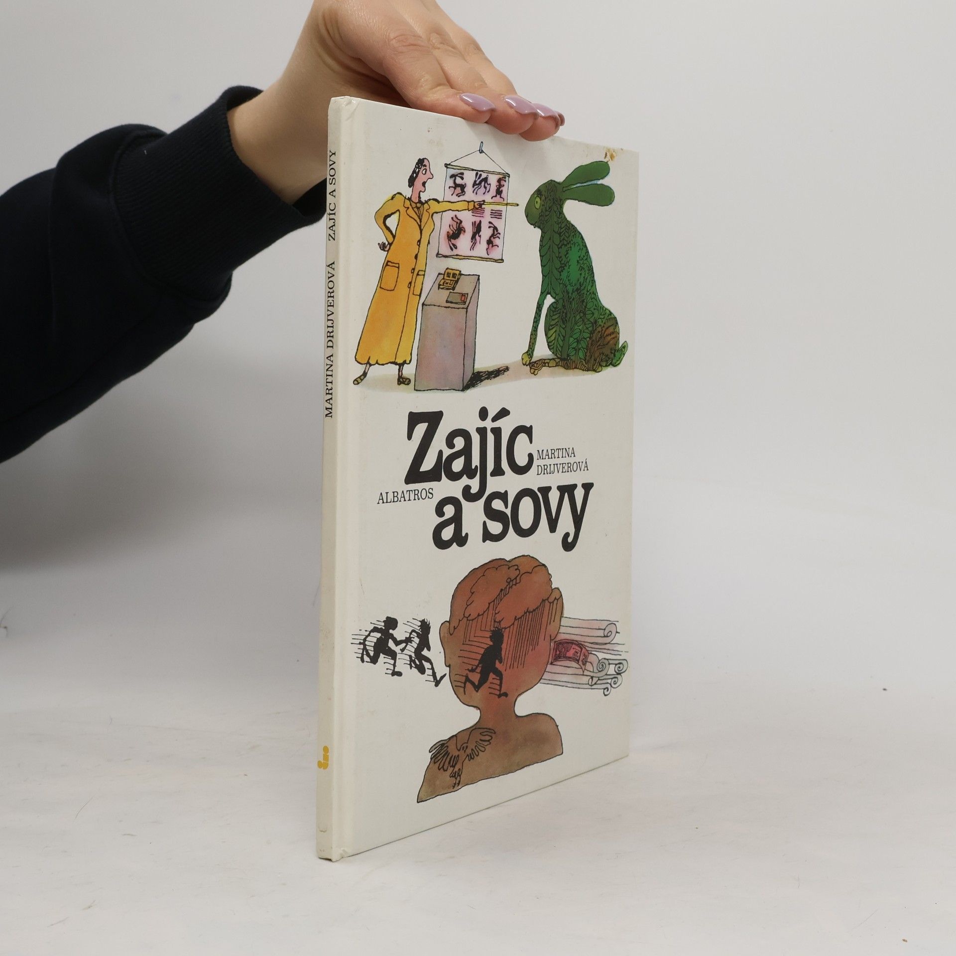 Zajíc a sovy