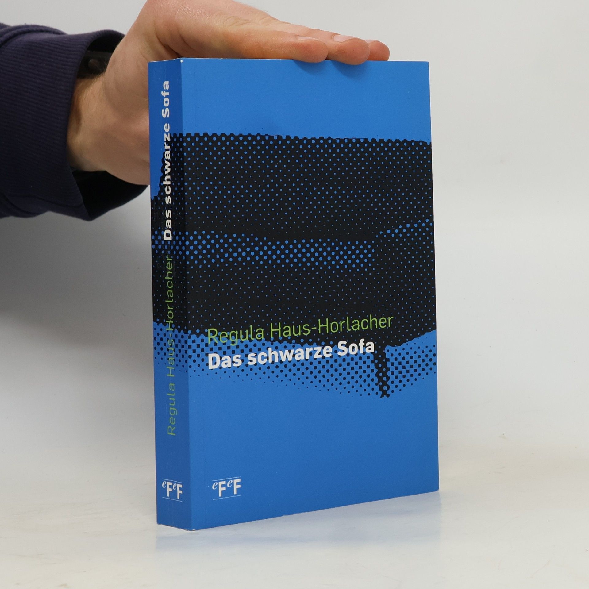 Regula Haus-Horlacher Das schwarze Sofa