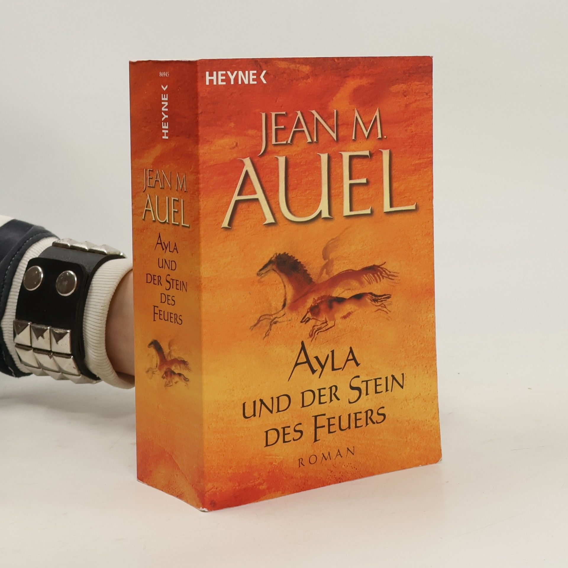 Ayla und der Stein des Feuers
