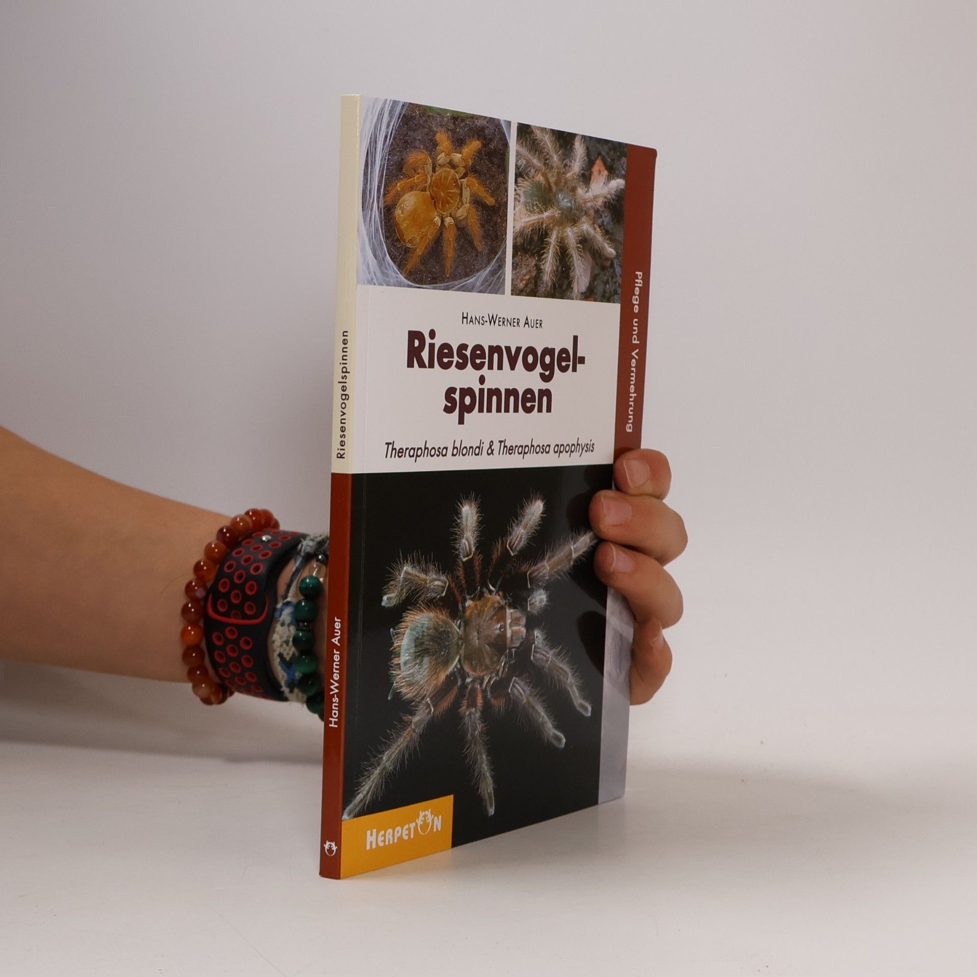 Hans-Werner Auer Riesenvogelspinnen