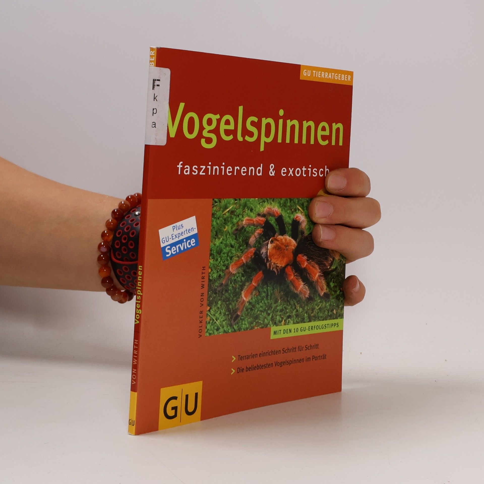 Vogelspinnen