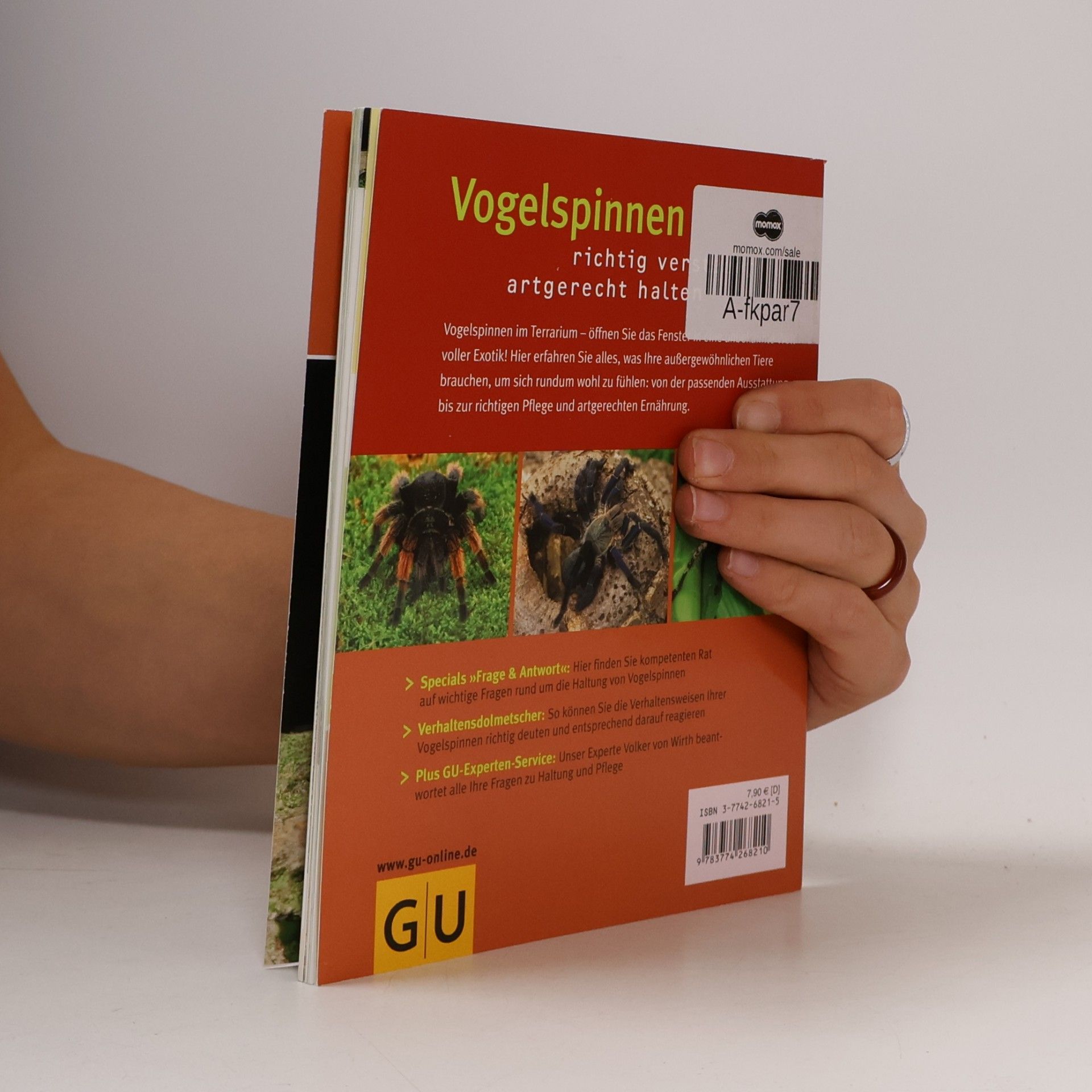 Volker von Wirth Vogelspinnen