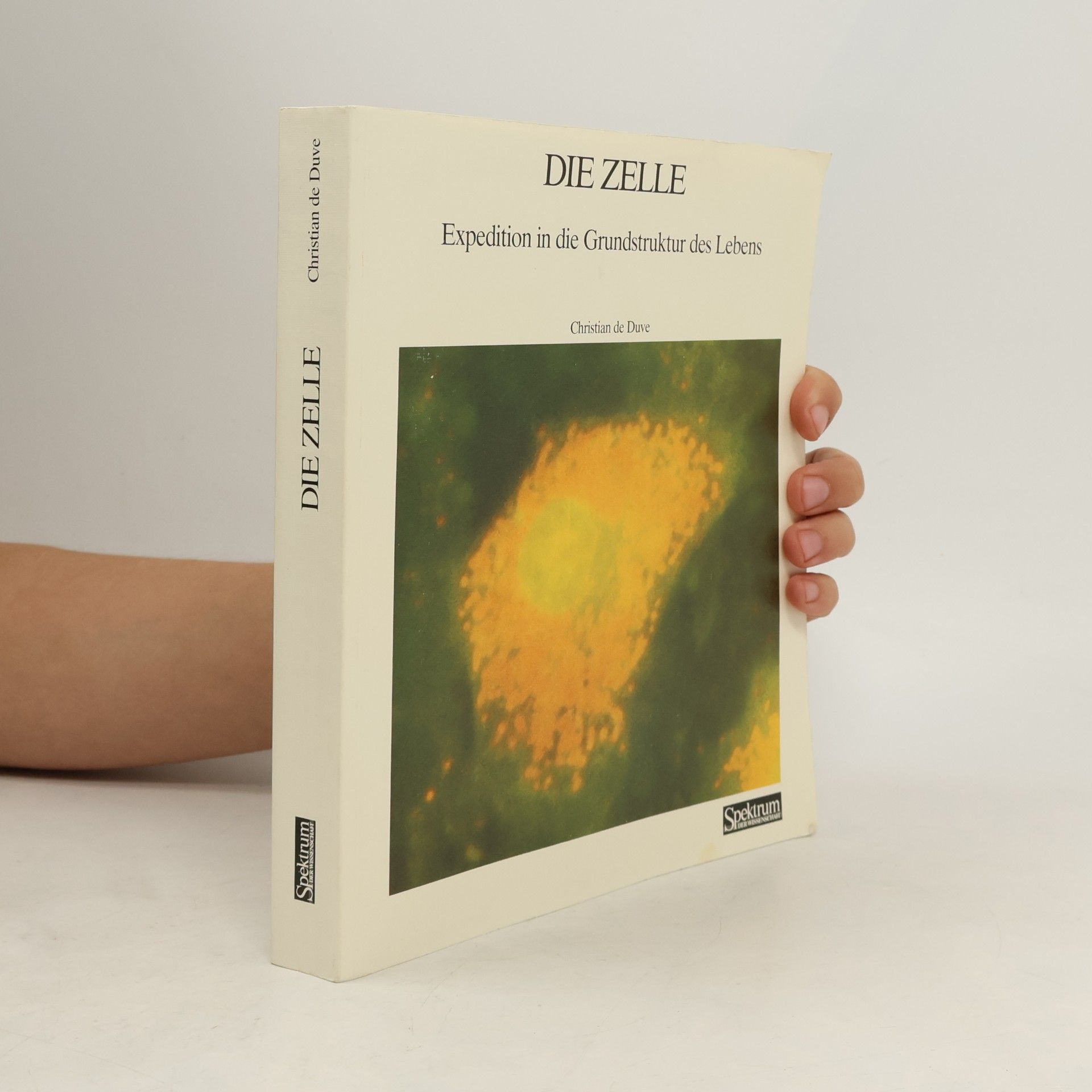 Die Zelle