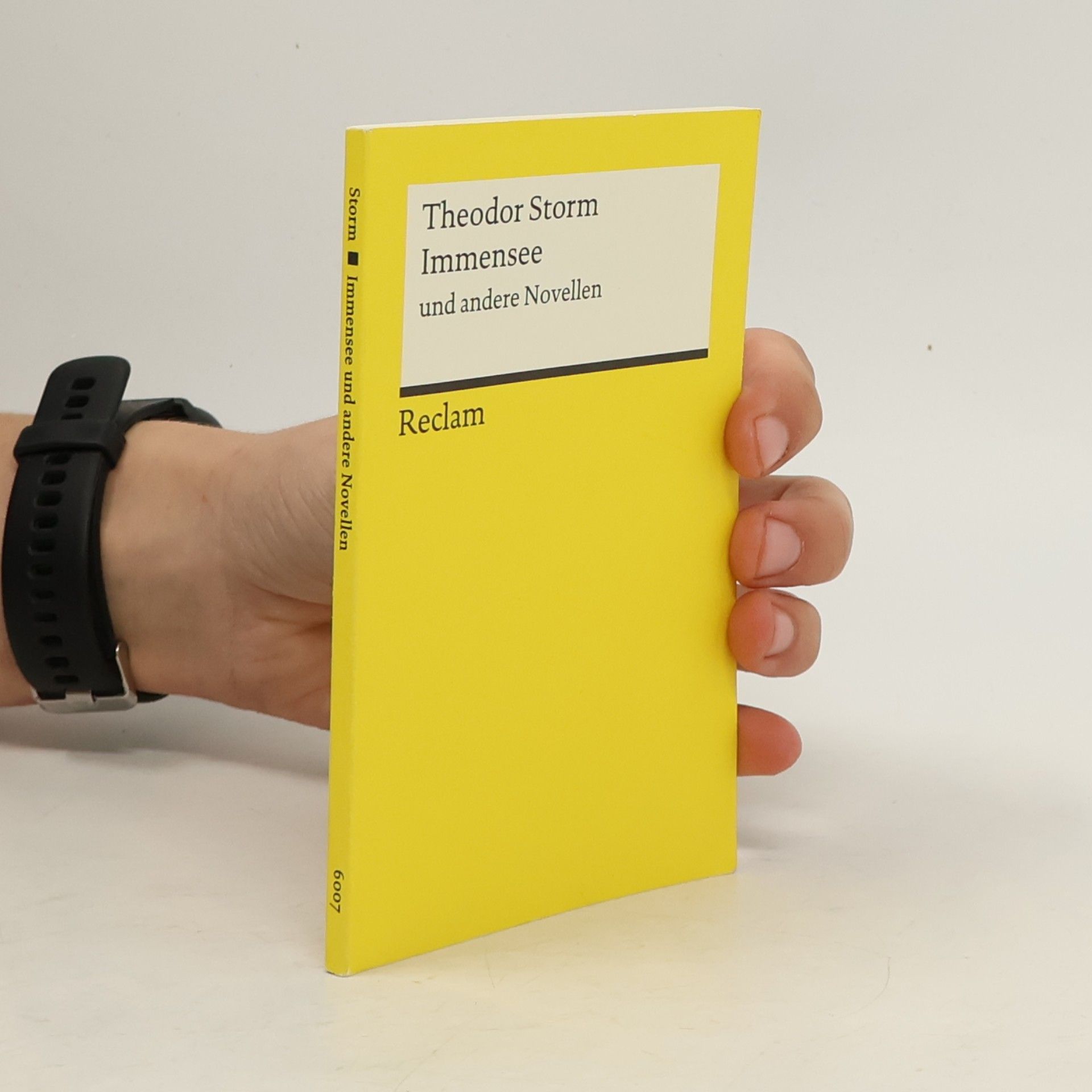 Theodor Storm Immensee und andere Novellen