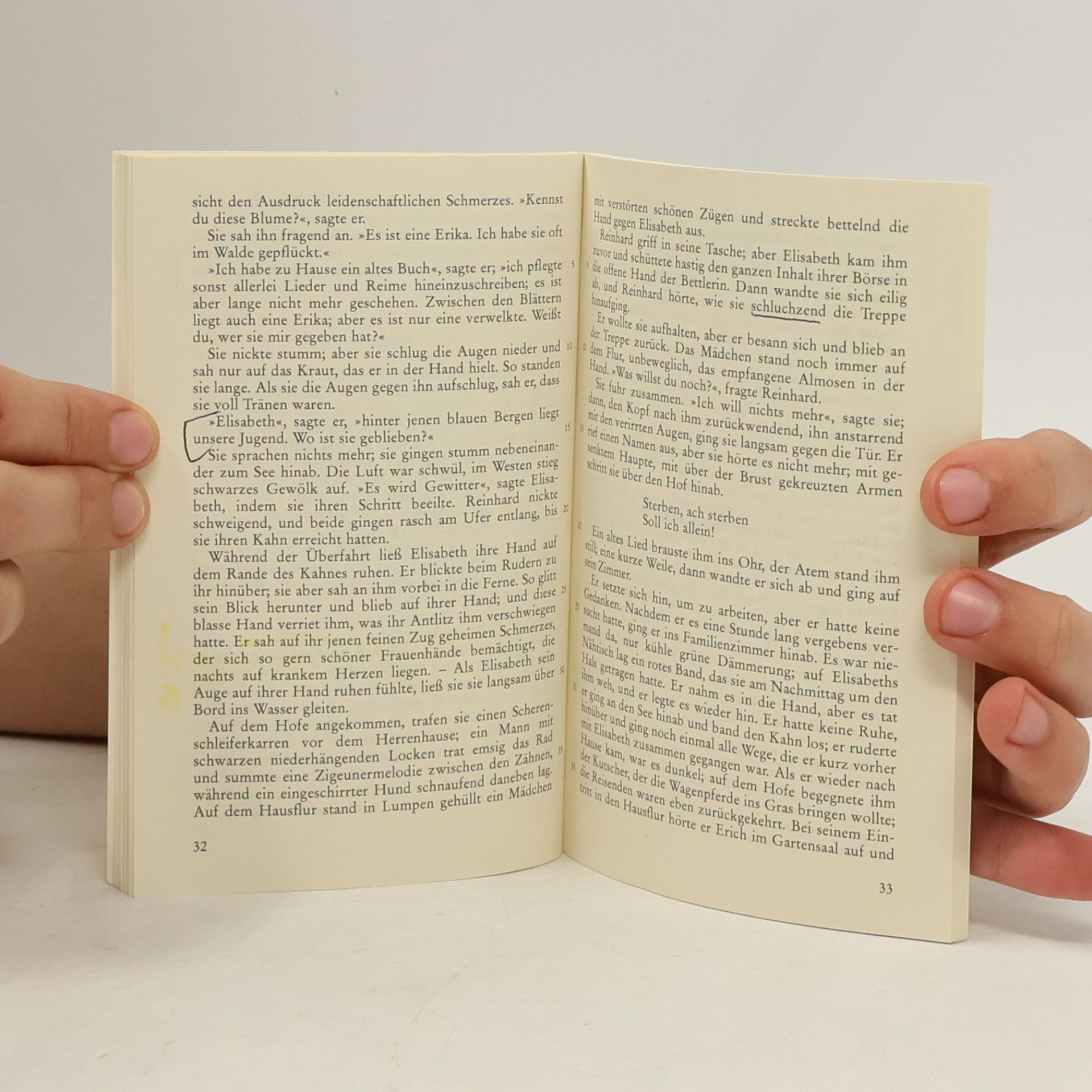Theodor Storm Immensee und andere Novellen
