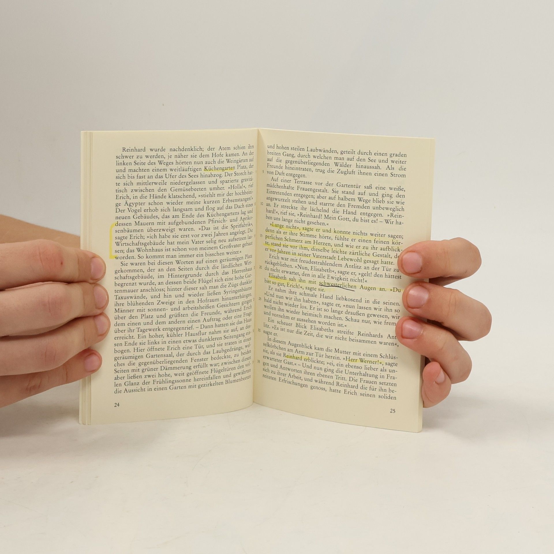 Theodor Storm Immensee und andere Novellen