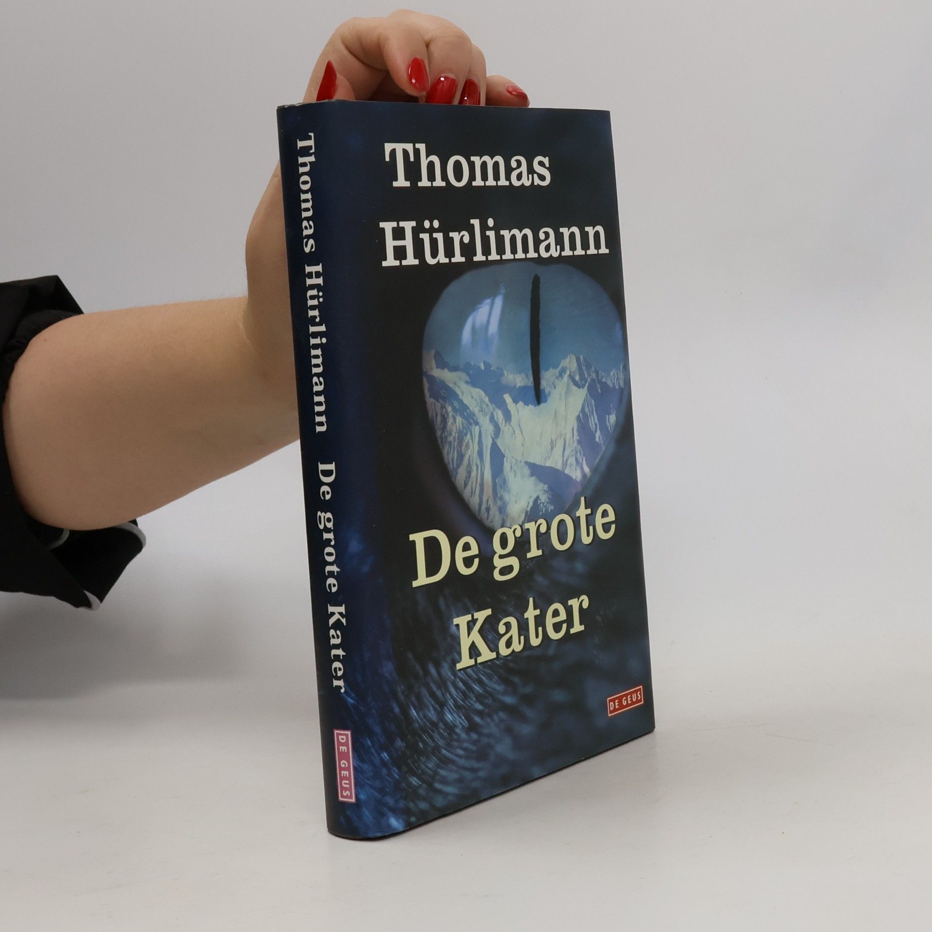 De grote kater