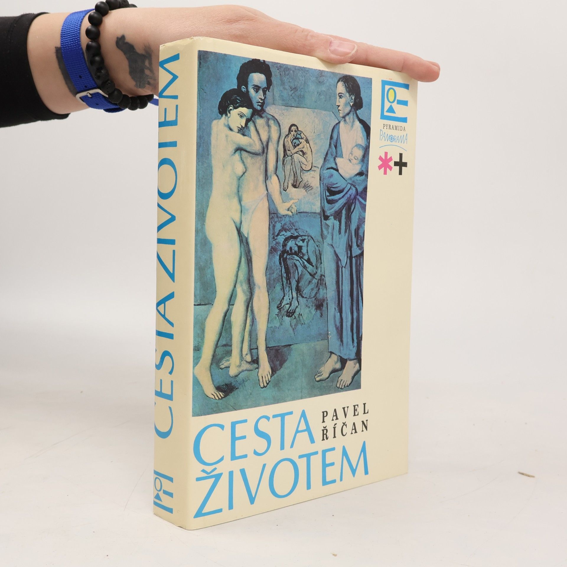 Cesta životem