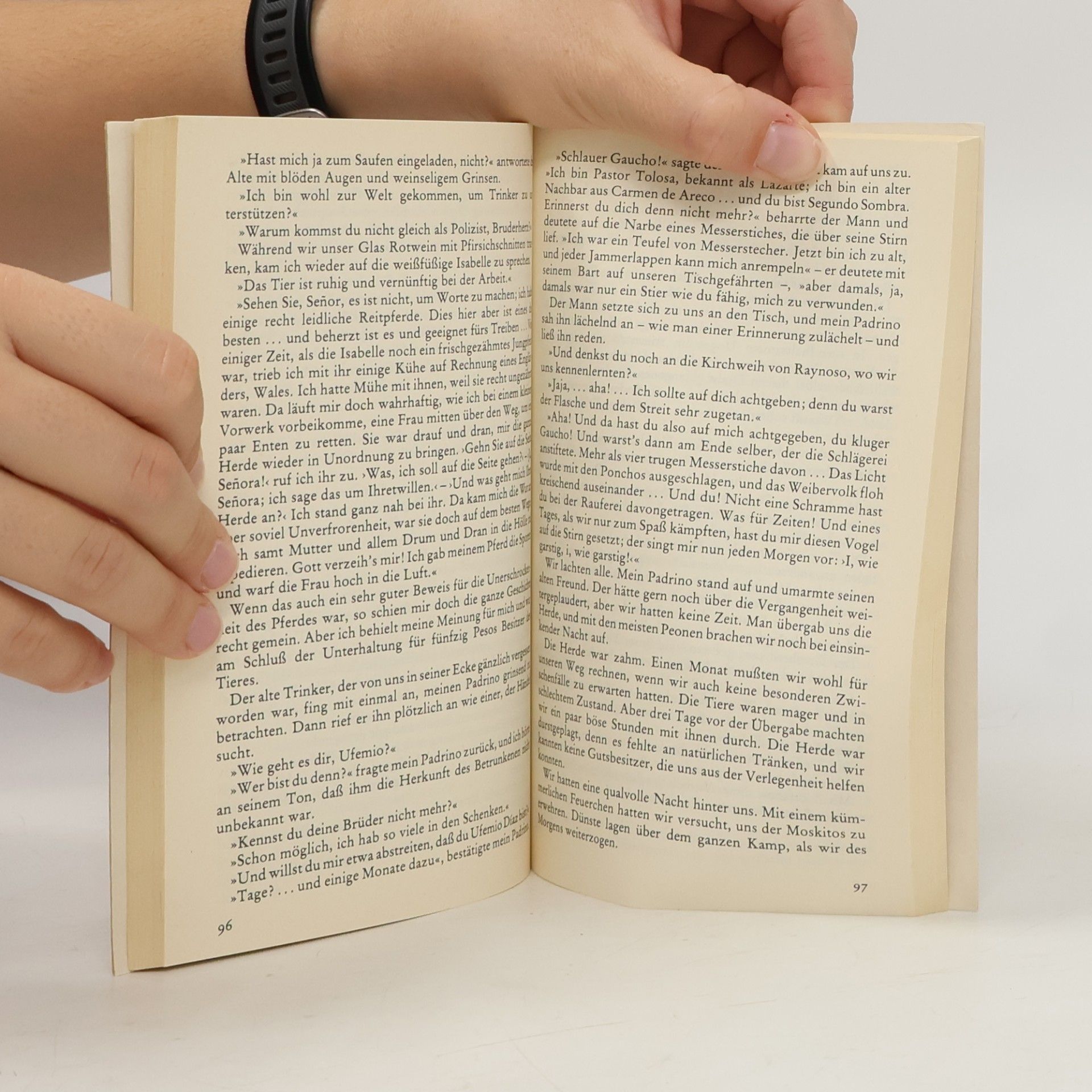 Ricardo Güiraldes Das Buch vom Gaucho Sombra