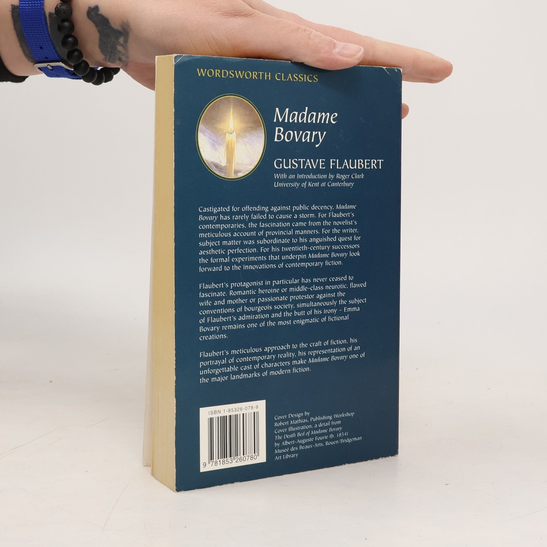 Gustave Flaubert Madame Bovary