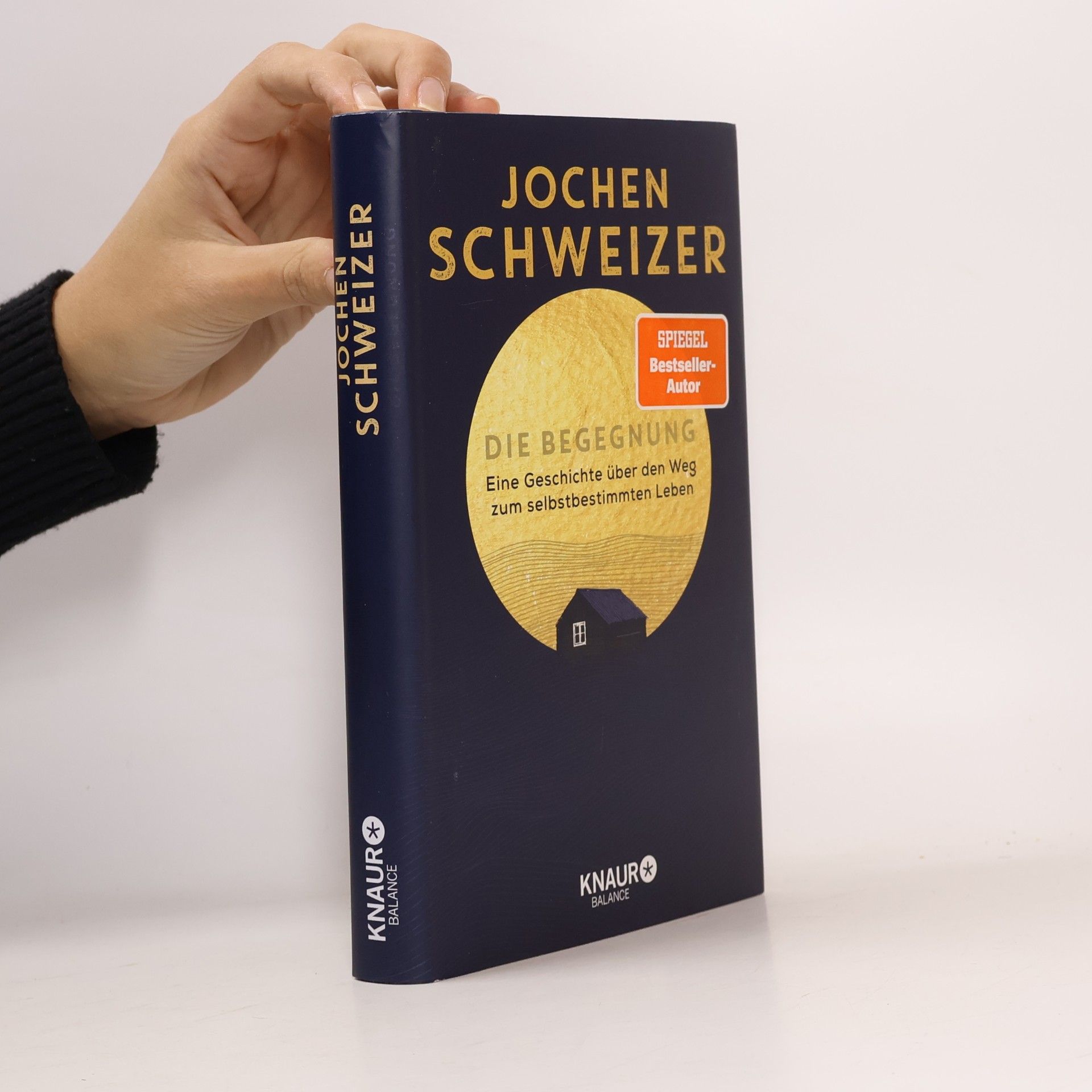Die begegnung