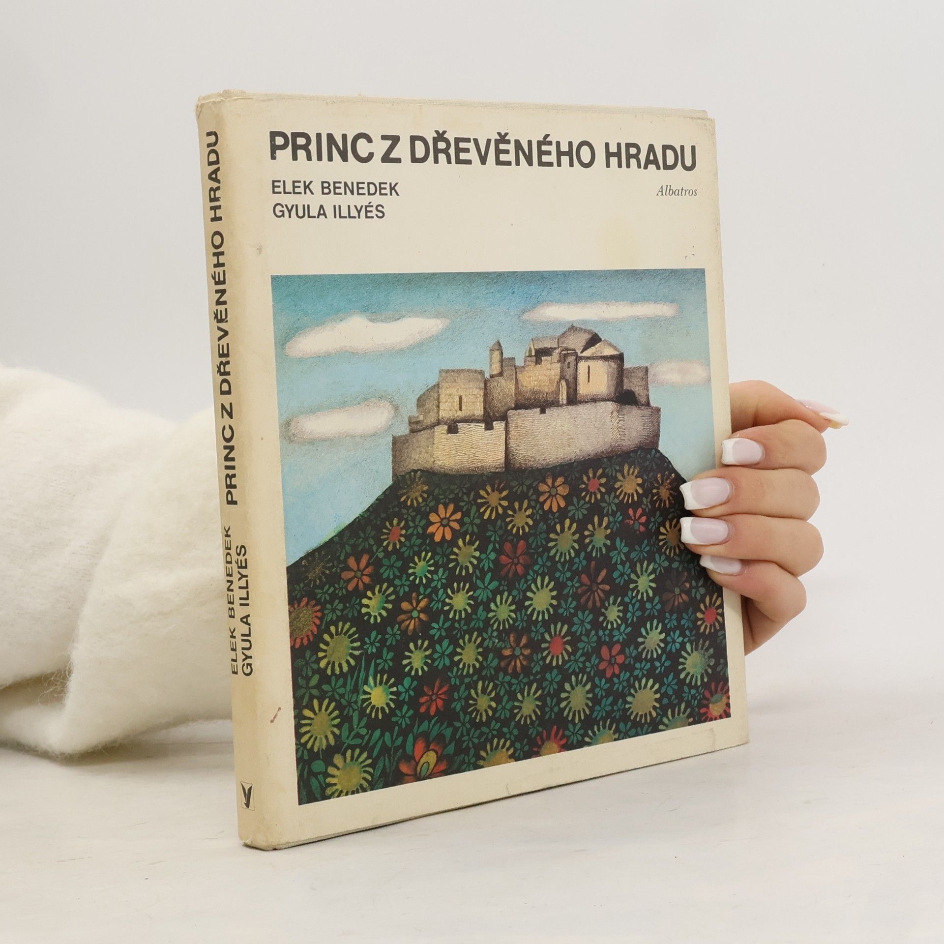 Princ z dřevěného hradu