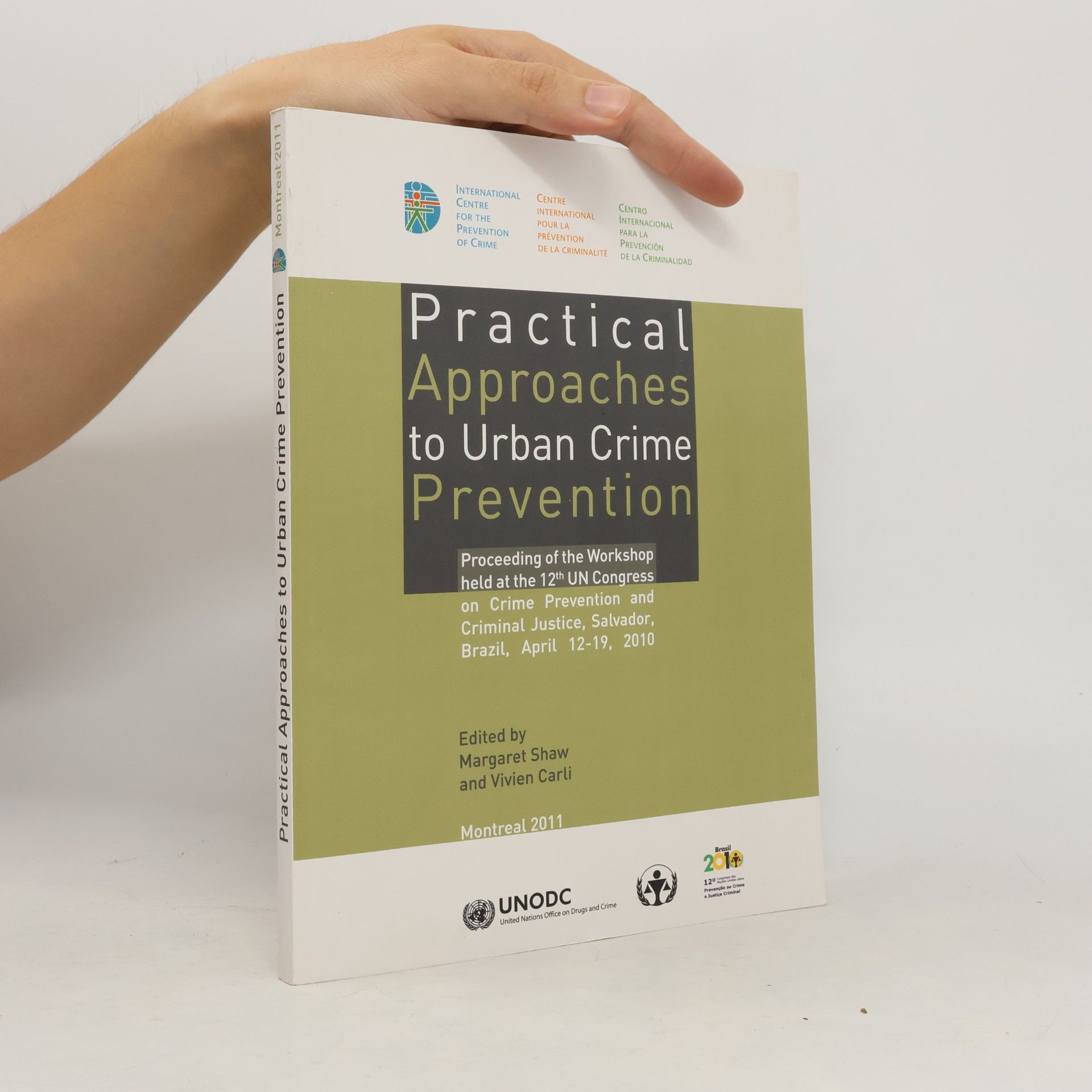 Practical Approaches to Urban Crime Prevention