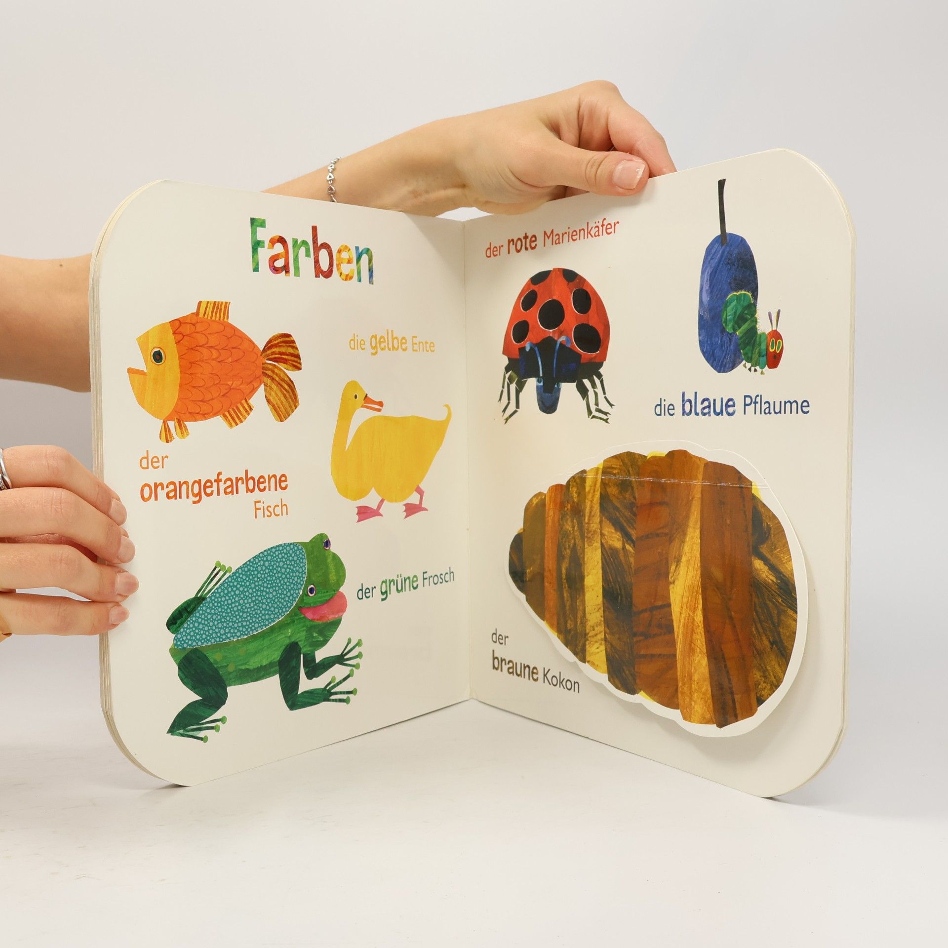 Eric Carle Die kleine Raupe Nimmersatt - mein Fühlbuch