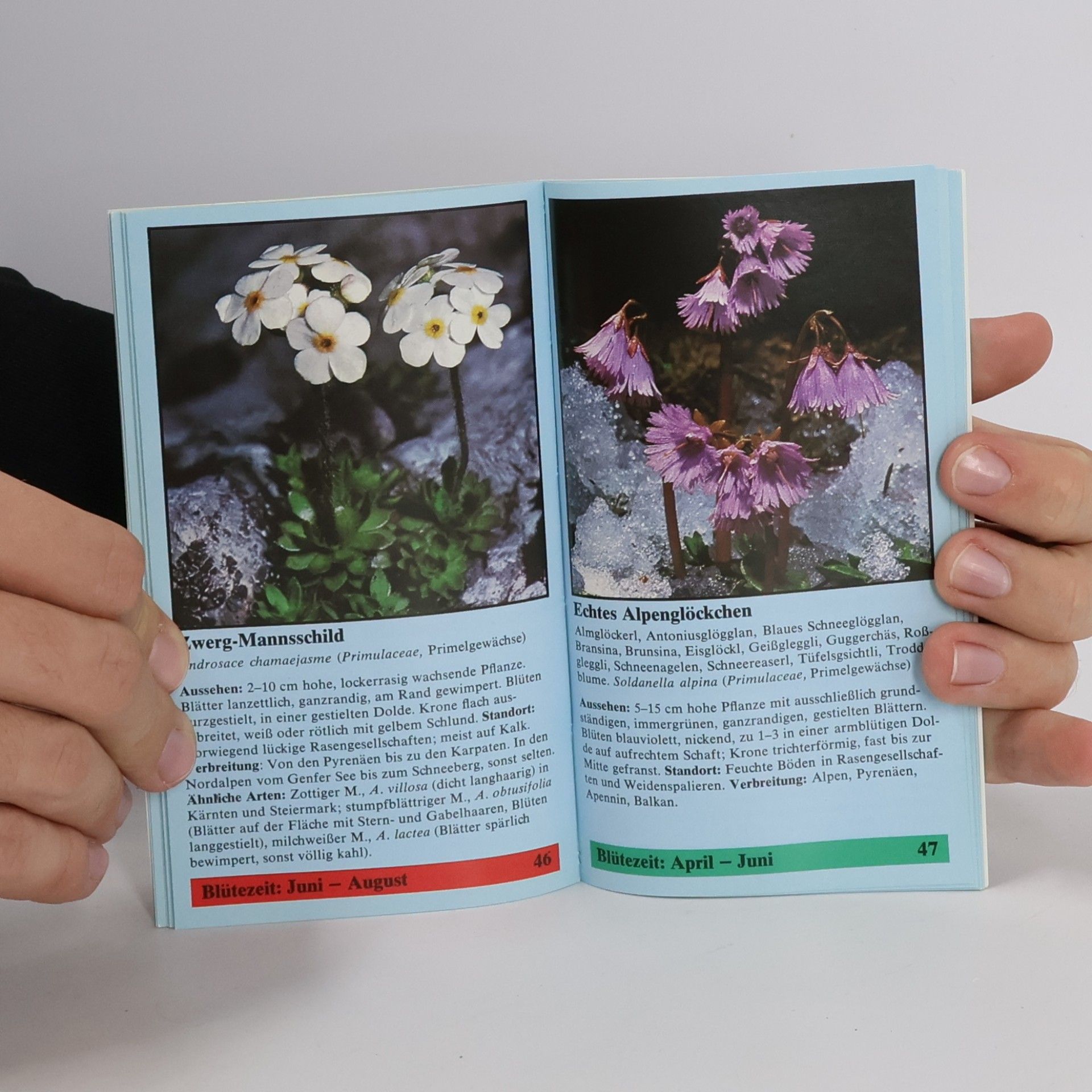Various authors Lipperts Alpenblumen Kompaß 1