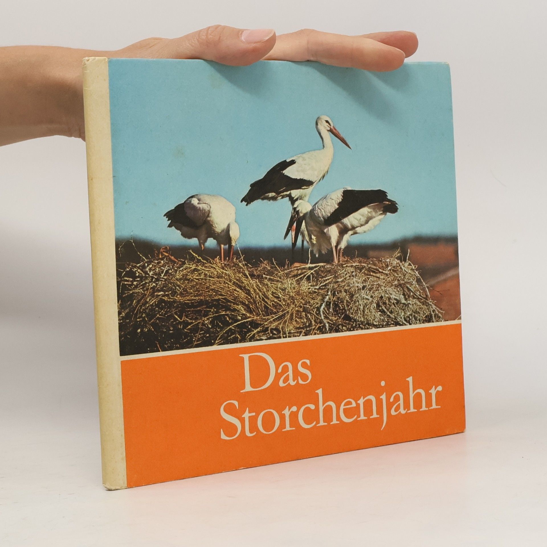 Das Storchenjahr