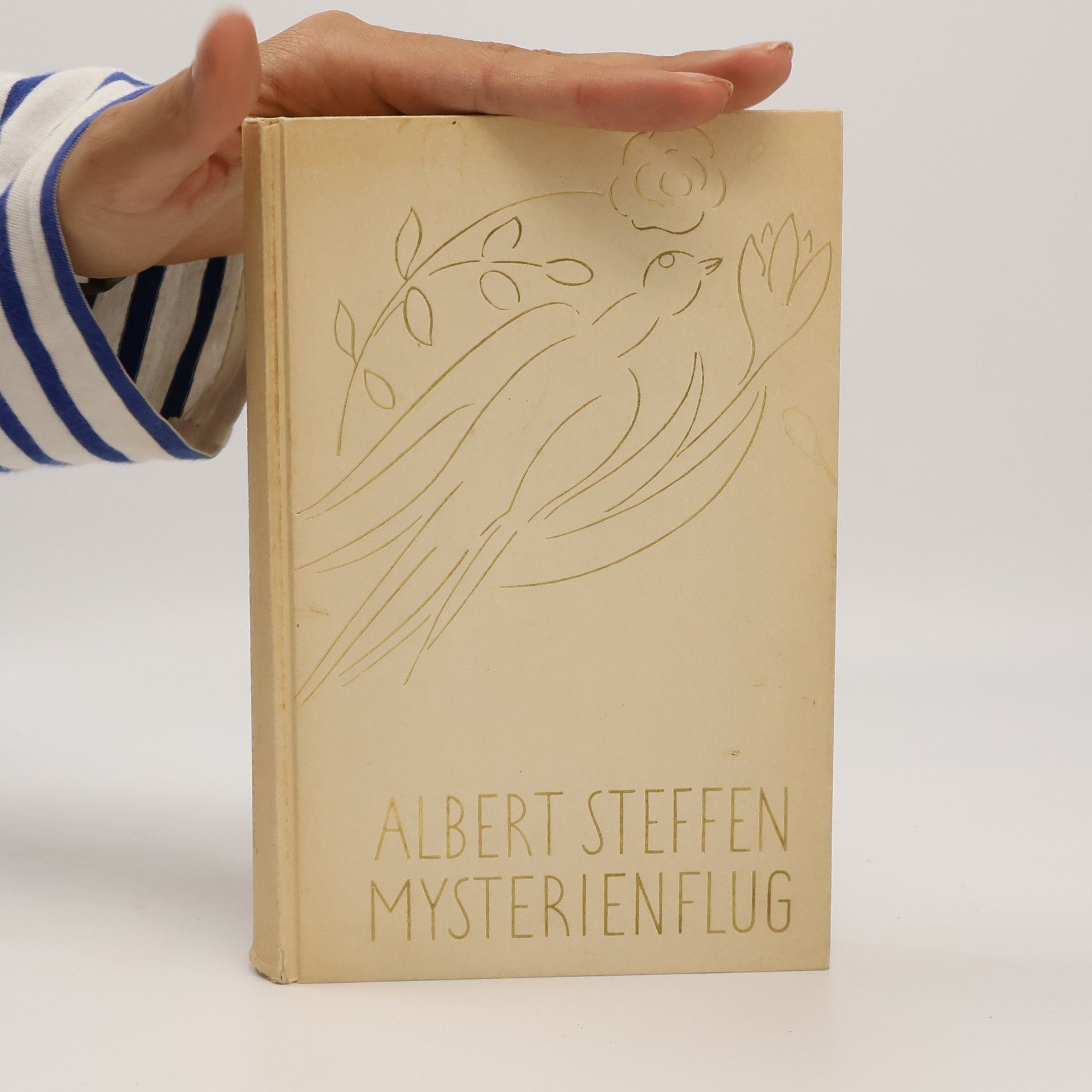 Albert Steffen Mysterienflug
