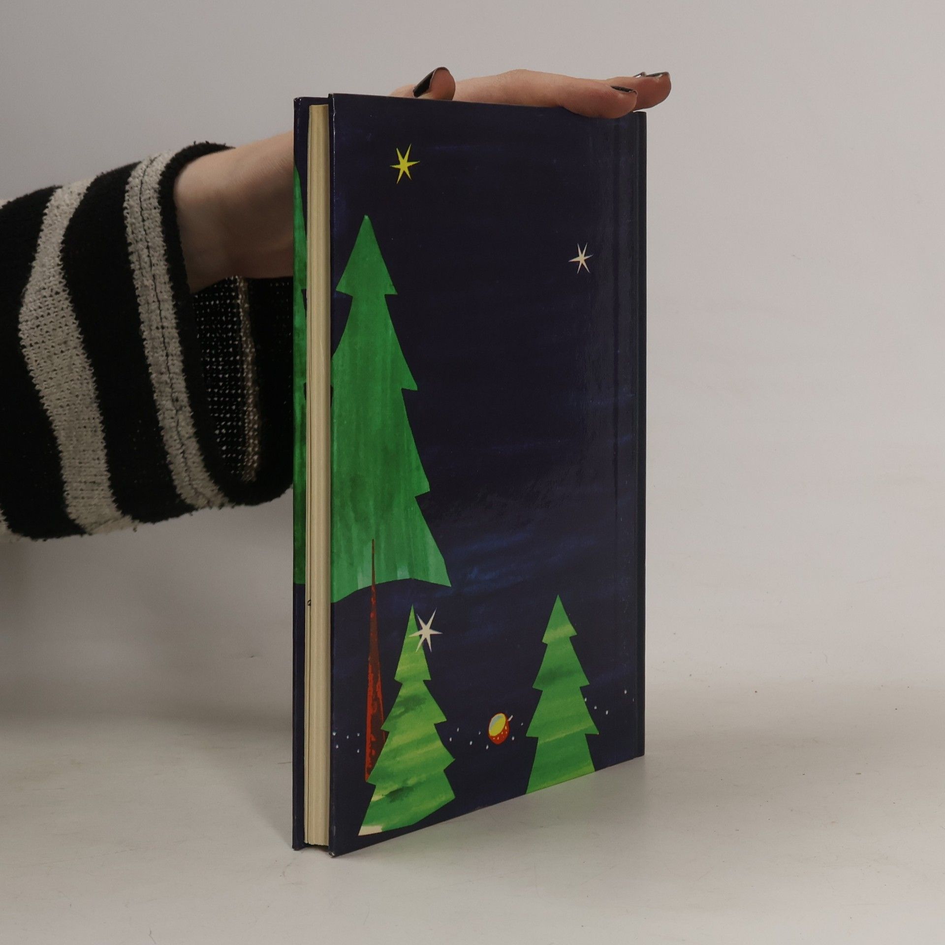Auteurscollectief Weihnachtsgeschichten