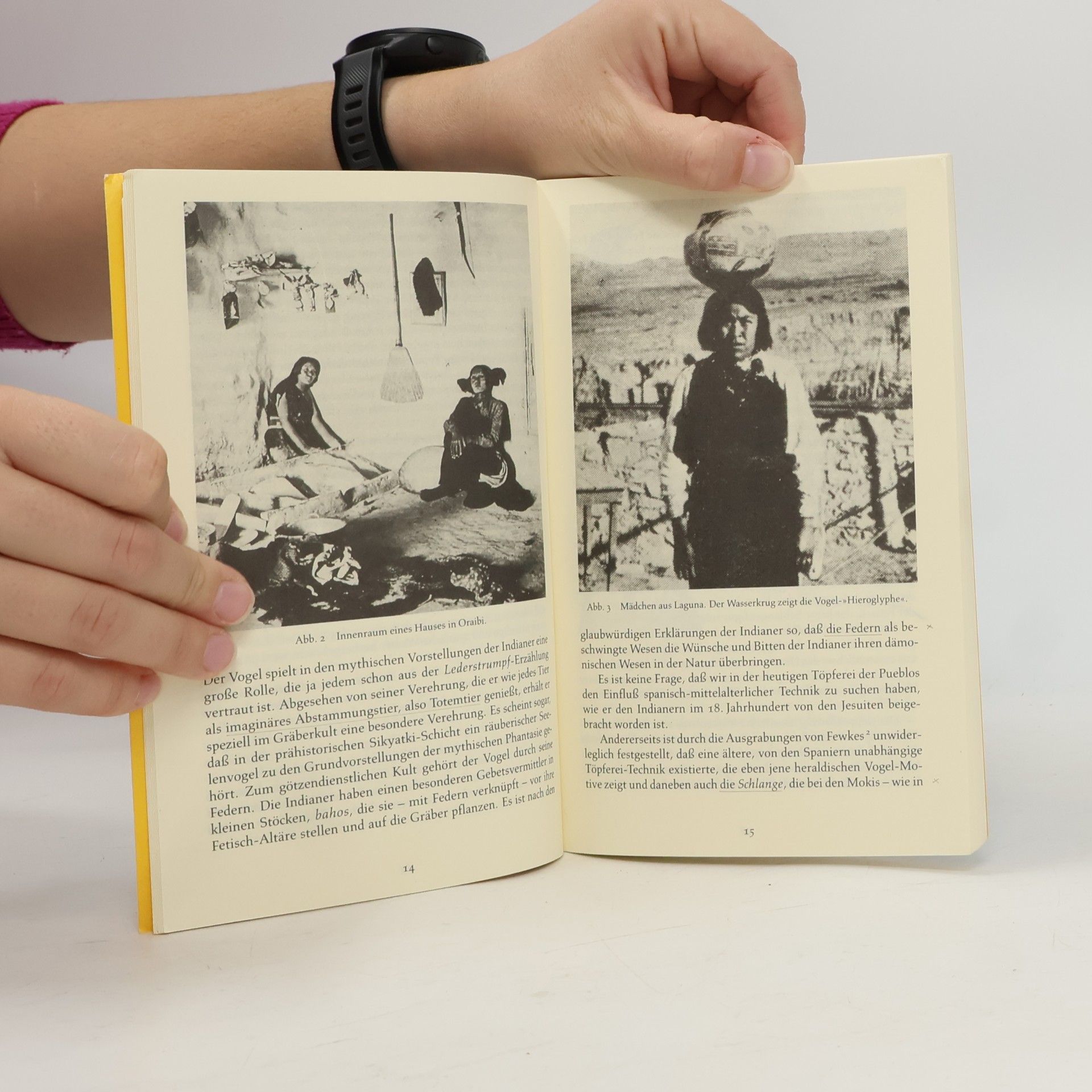 Aby Warburg Schlangenritual