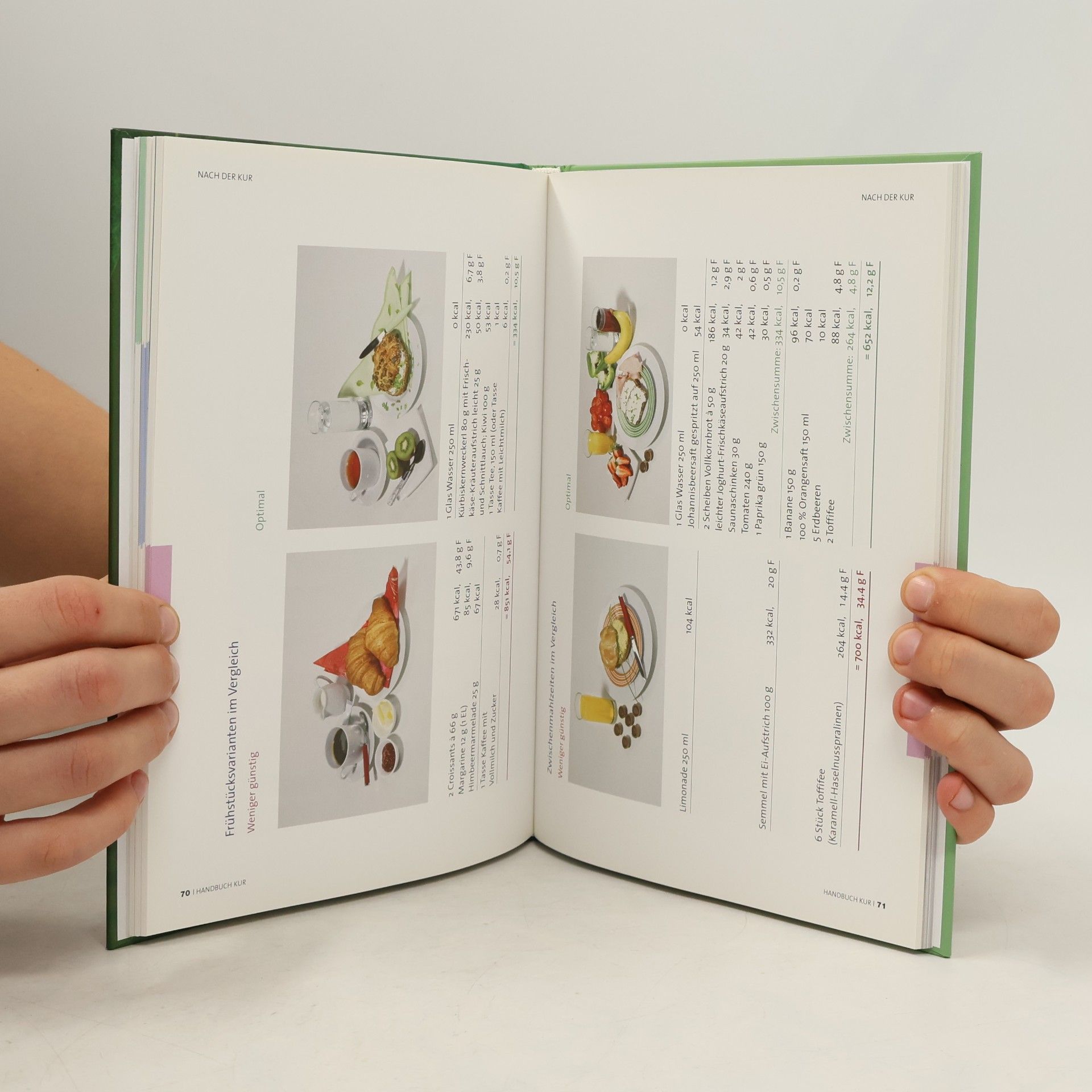 Rudolf Müller Handbuch Kur