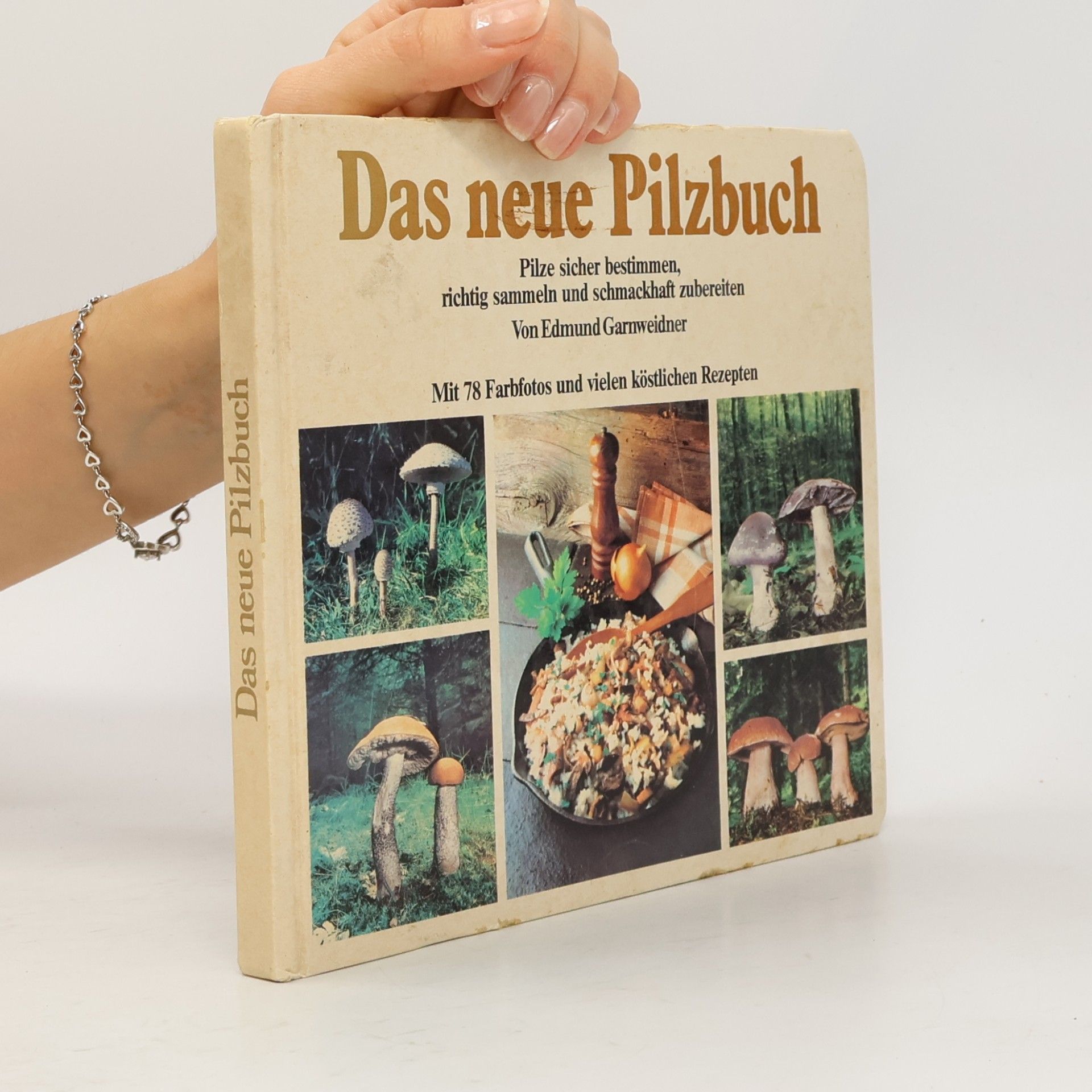 Kolektiv autorů Das neue Pilzbuch