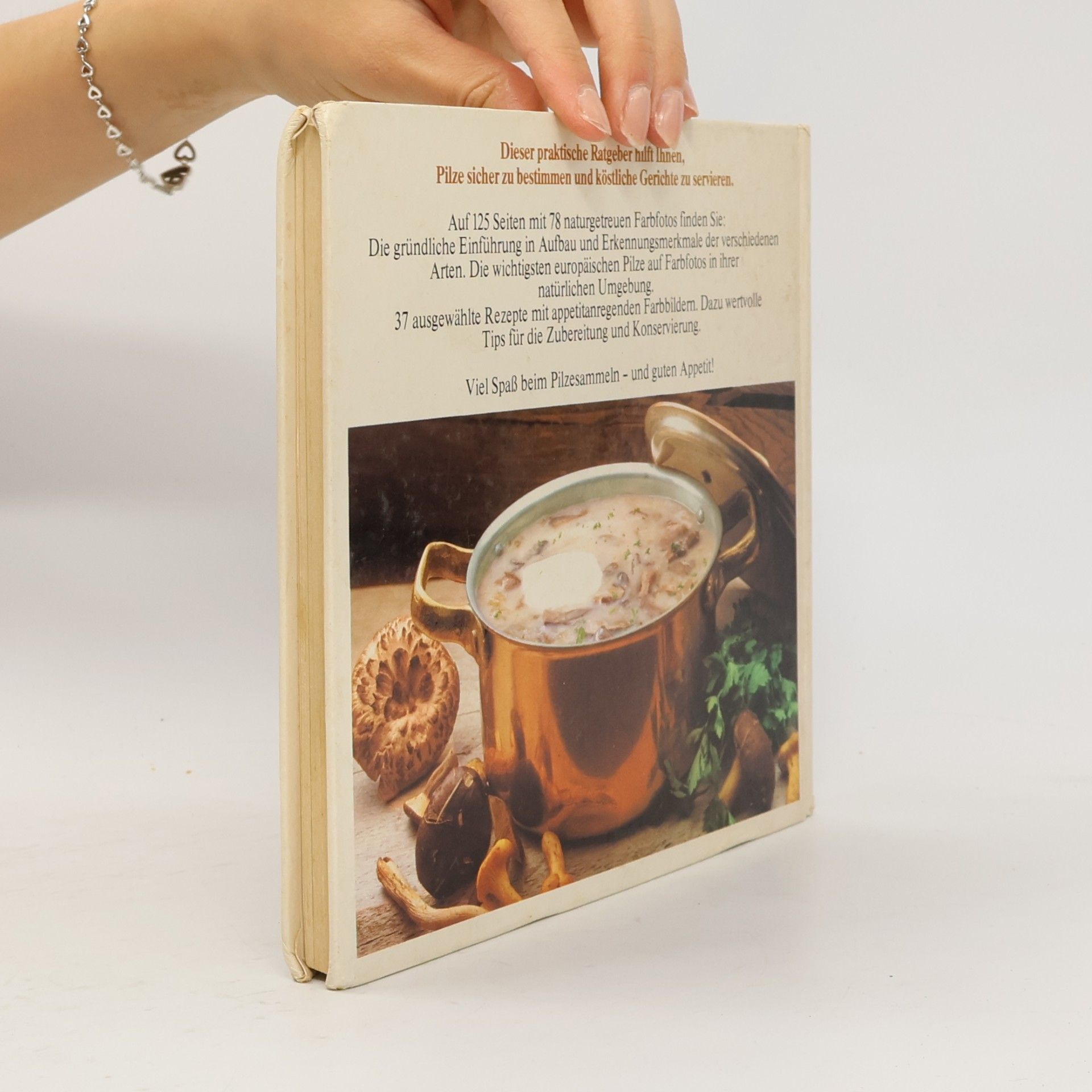 Kolektiv autorů Das neue Pilzbuch