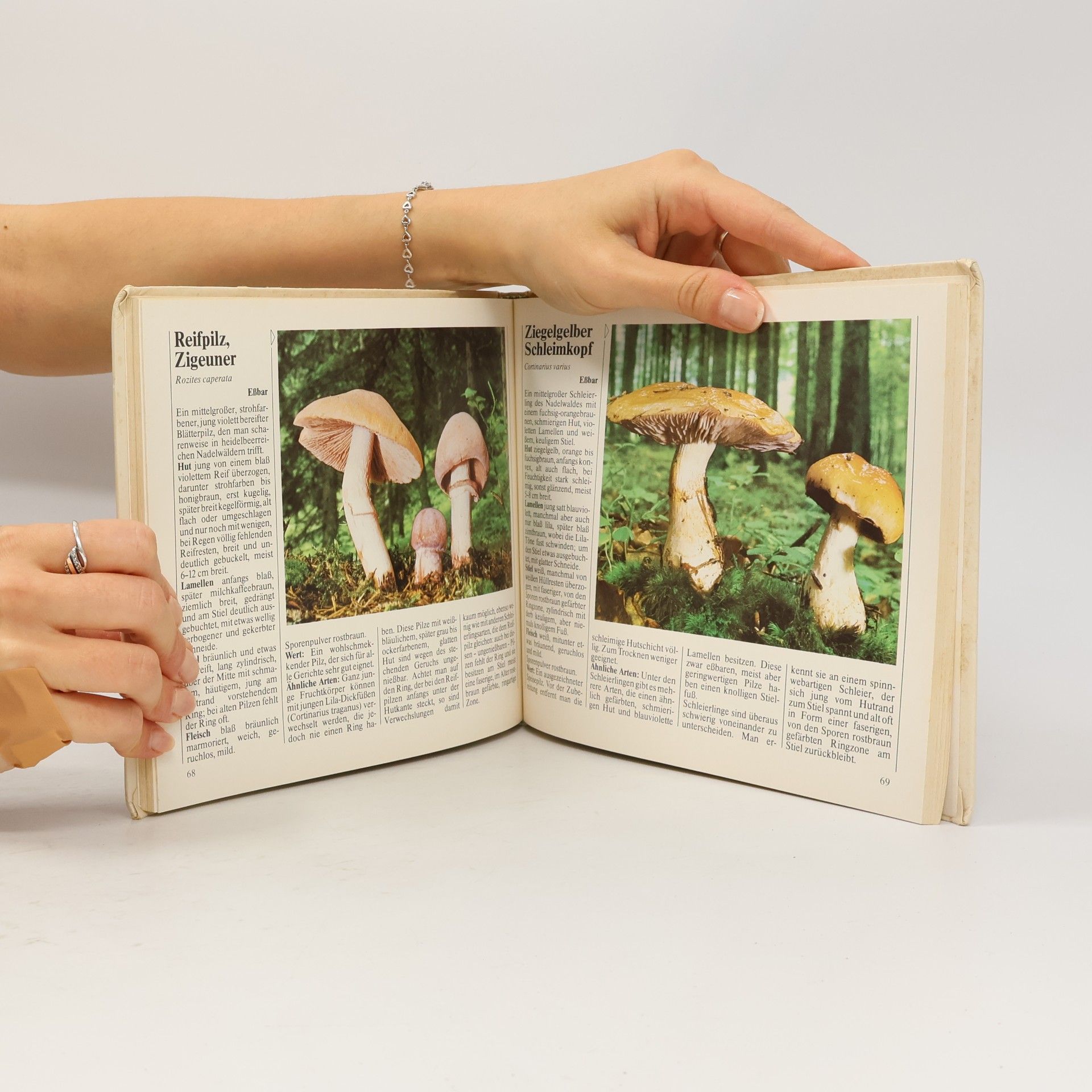 Kolektiv autorů Das neue Pilzbuch