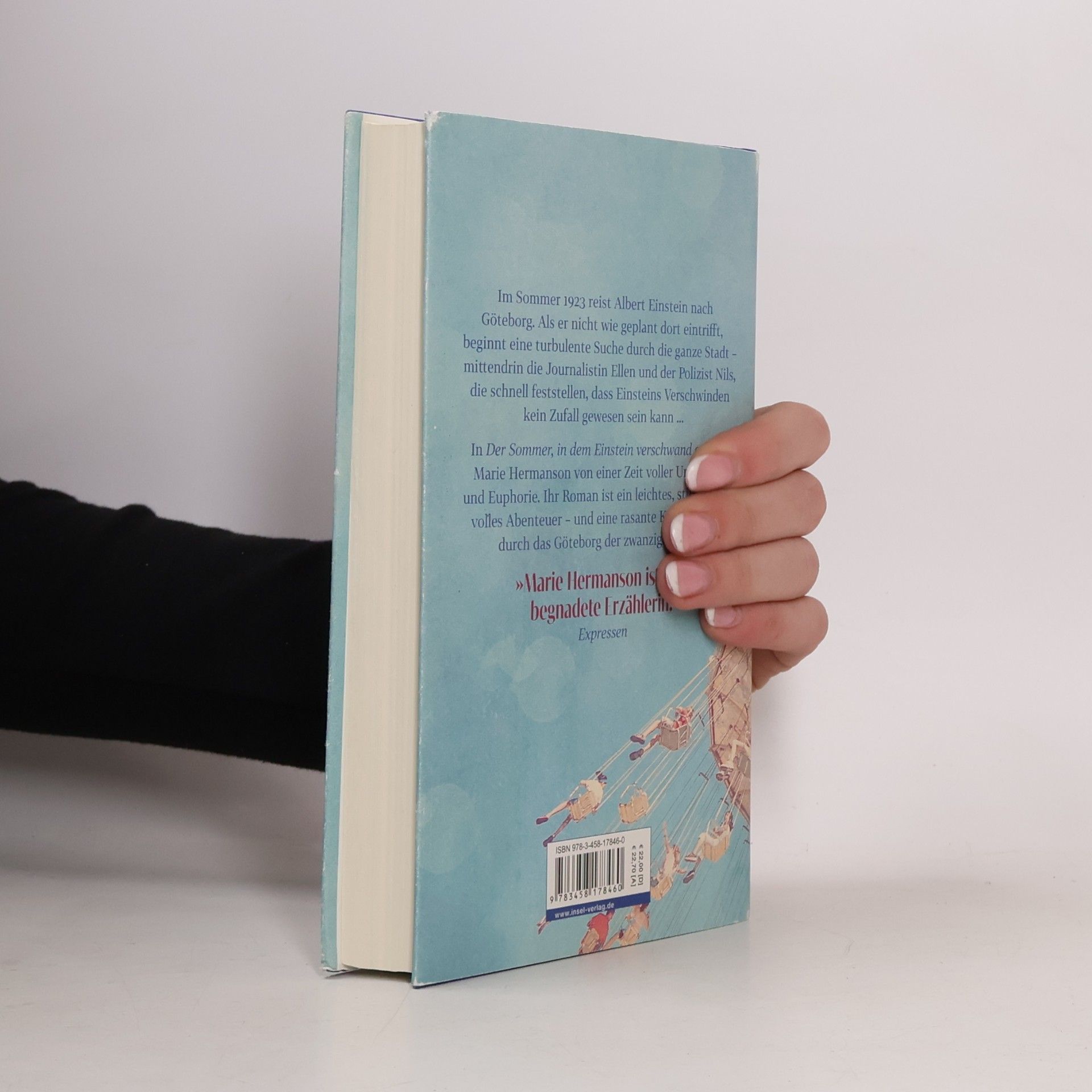 Marie Hermanson Der Sommer, in dem Einstein verschwand