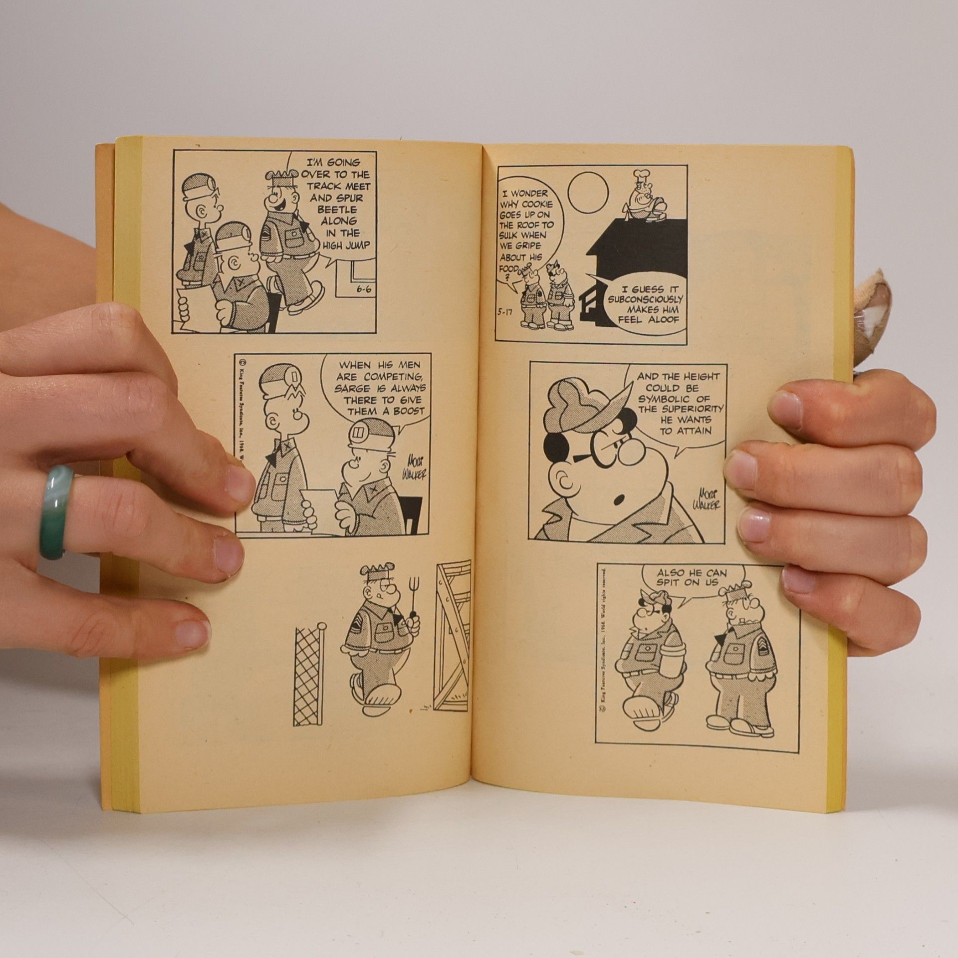 Mort Walker Beetle Bailey Fall Out Laughing