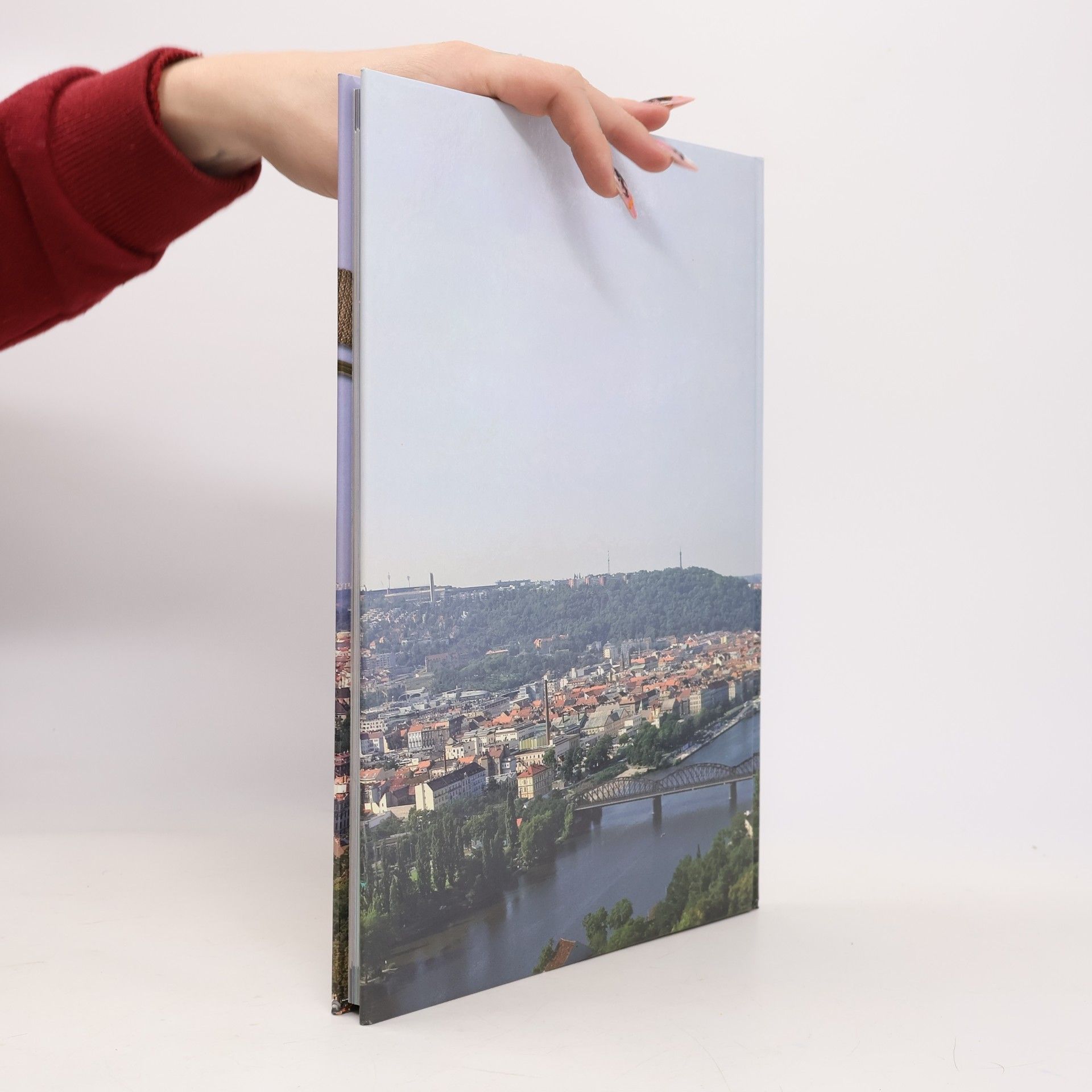 Jiří Bílek Vojenské fanfáry nad Vltavou. Od hudeb císačských pluků k Posádkové hudbě Praha