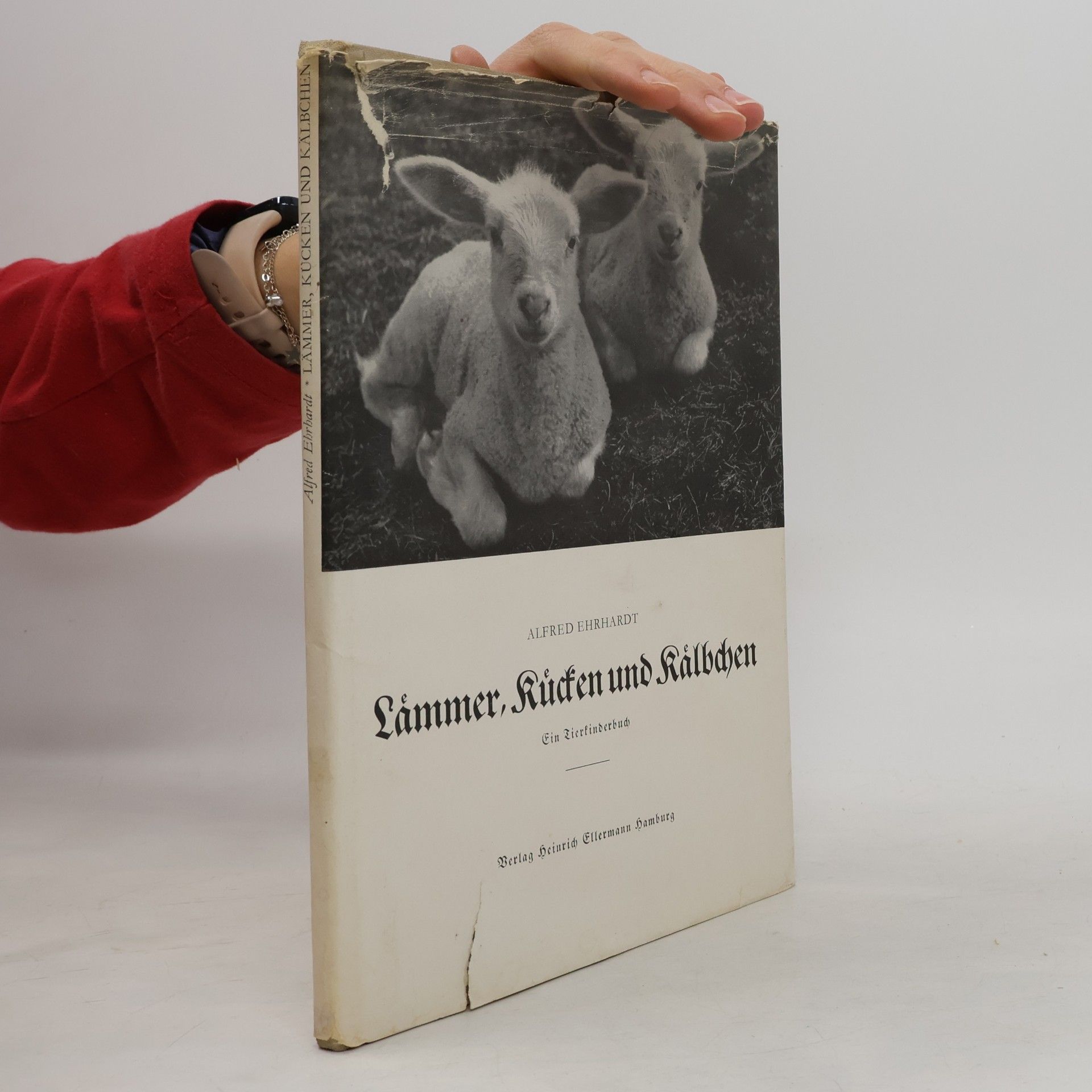 Lämmer, Kücken und Kälbchen