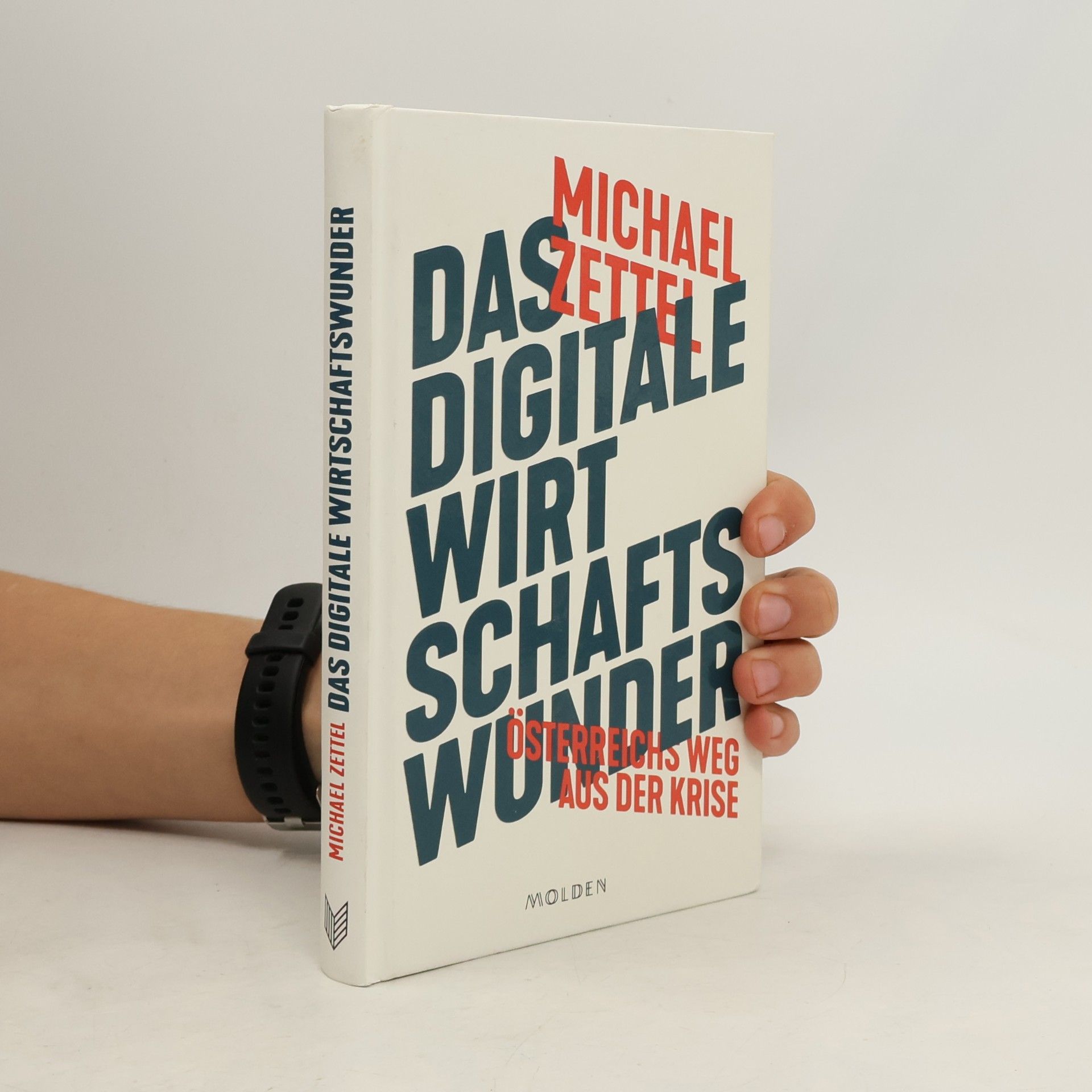 Michael Zettel Das digitale Wirtschaftswunder