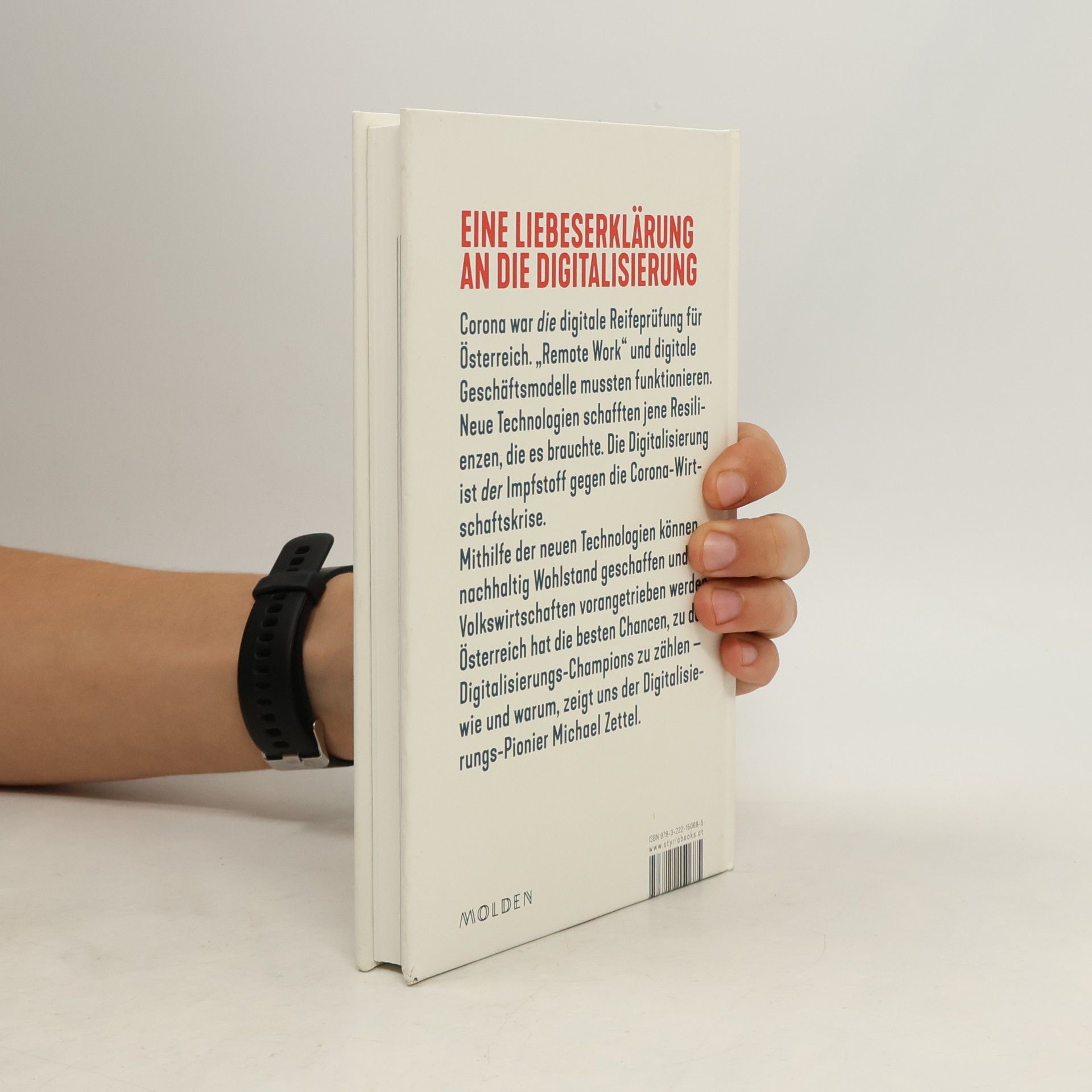 Michael Zettel Das digitale Wirtschaftswunder