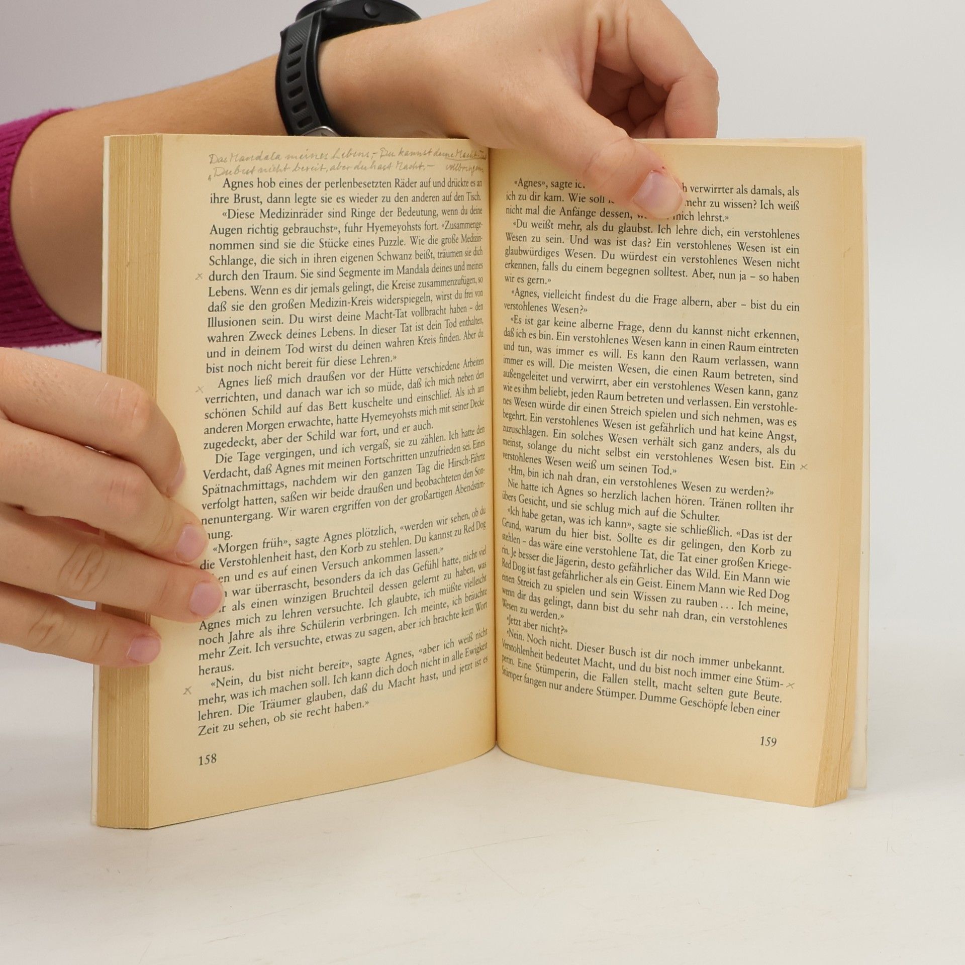 Lynn V. Andrews Die Medizinfrau