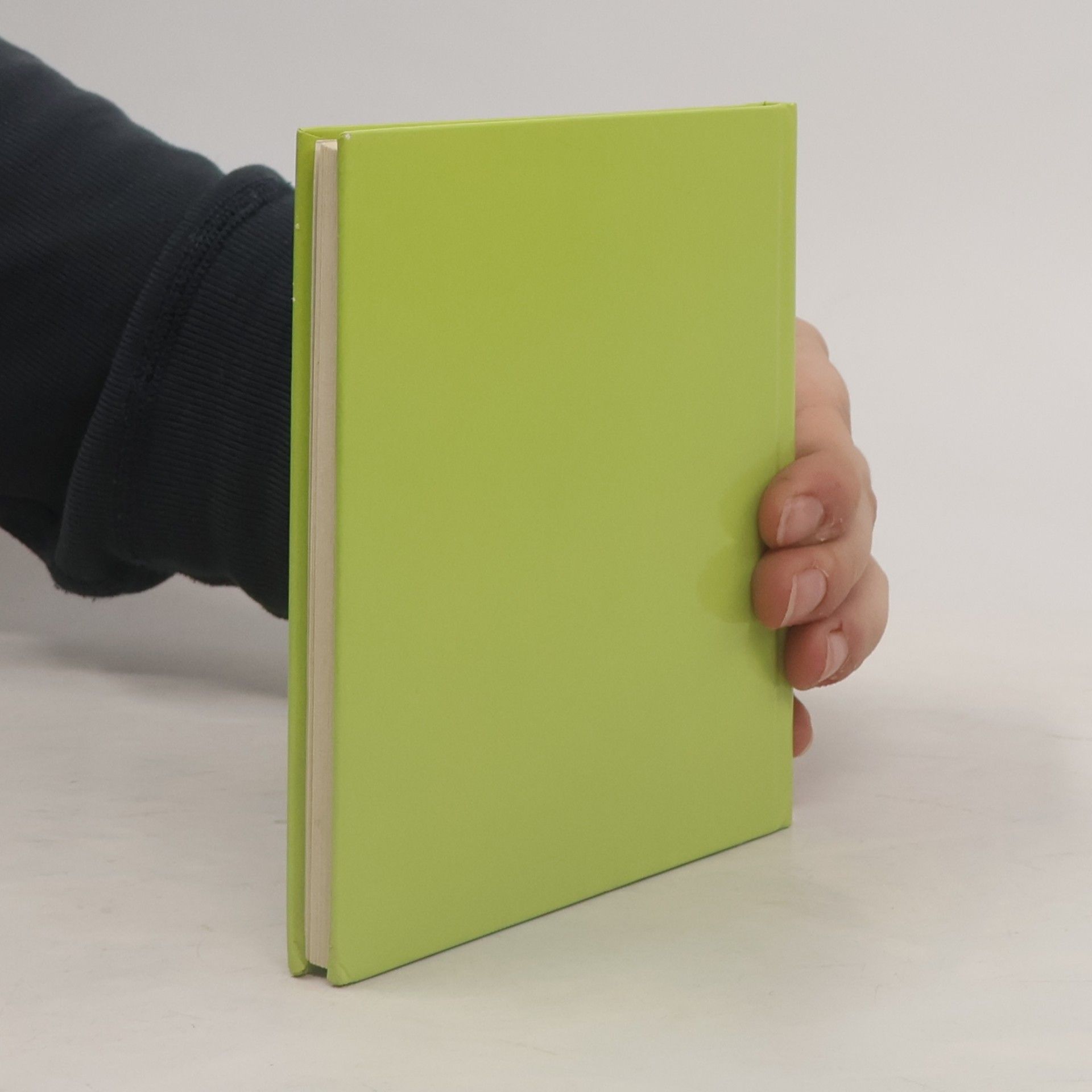 Anton Haller Das kleine Buch der naiven Maler
