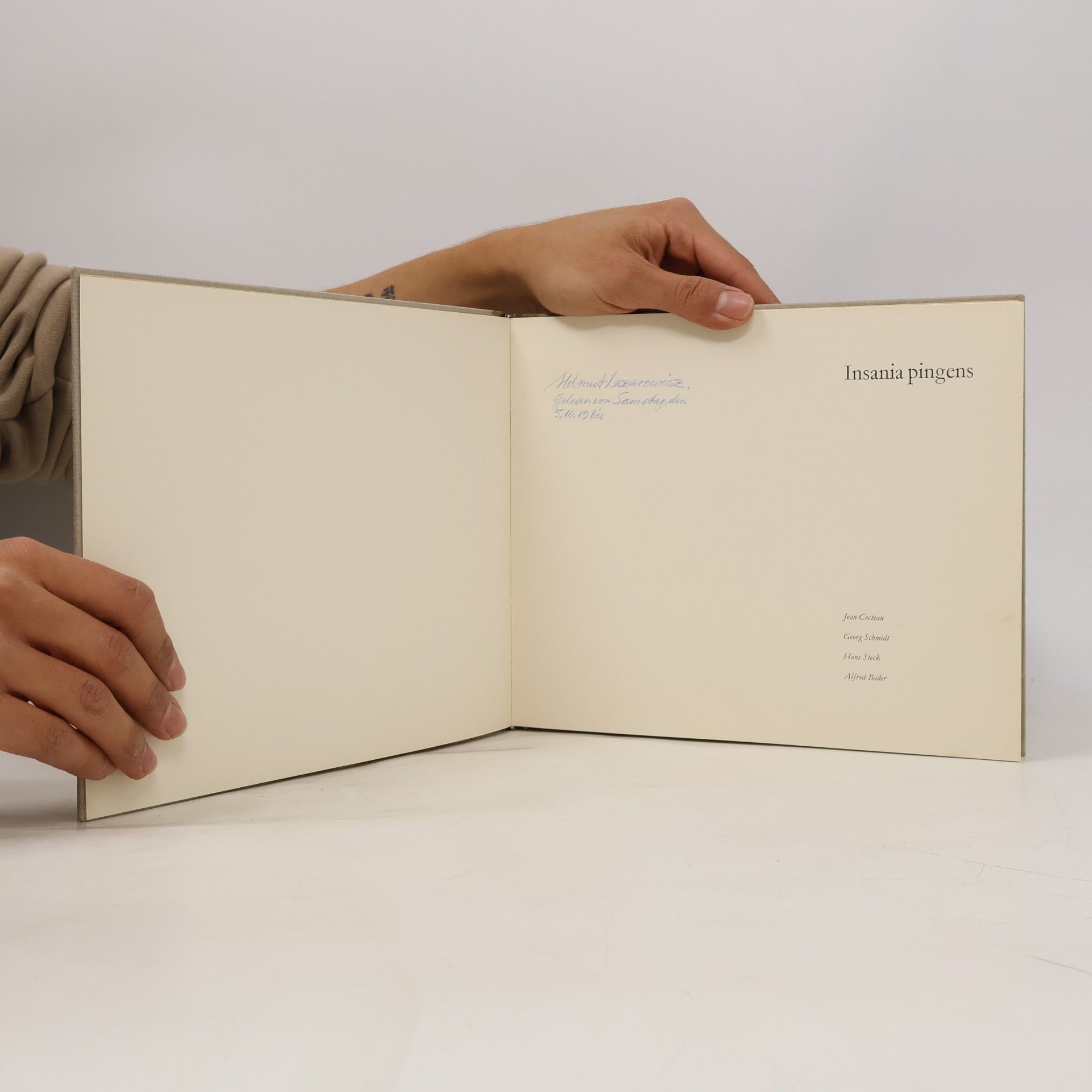 Various authors Insania pingens