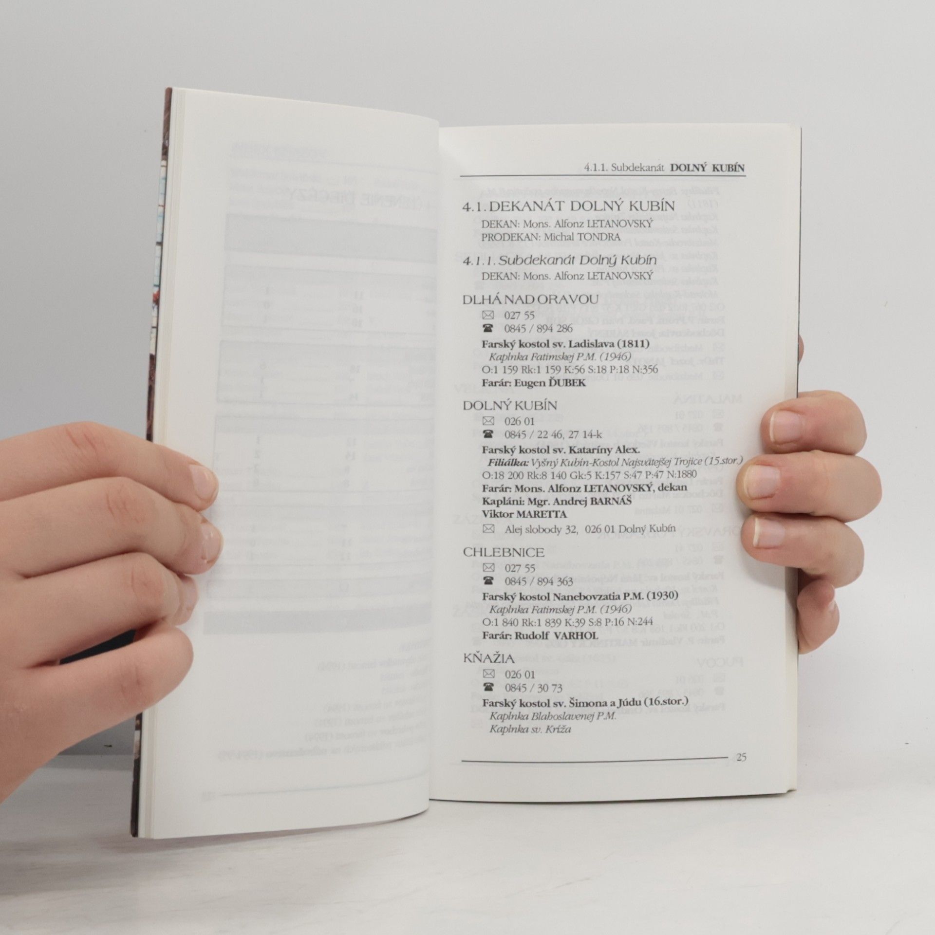 Kolektiv autorů Schematizmus