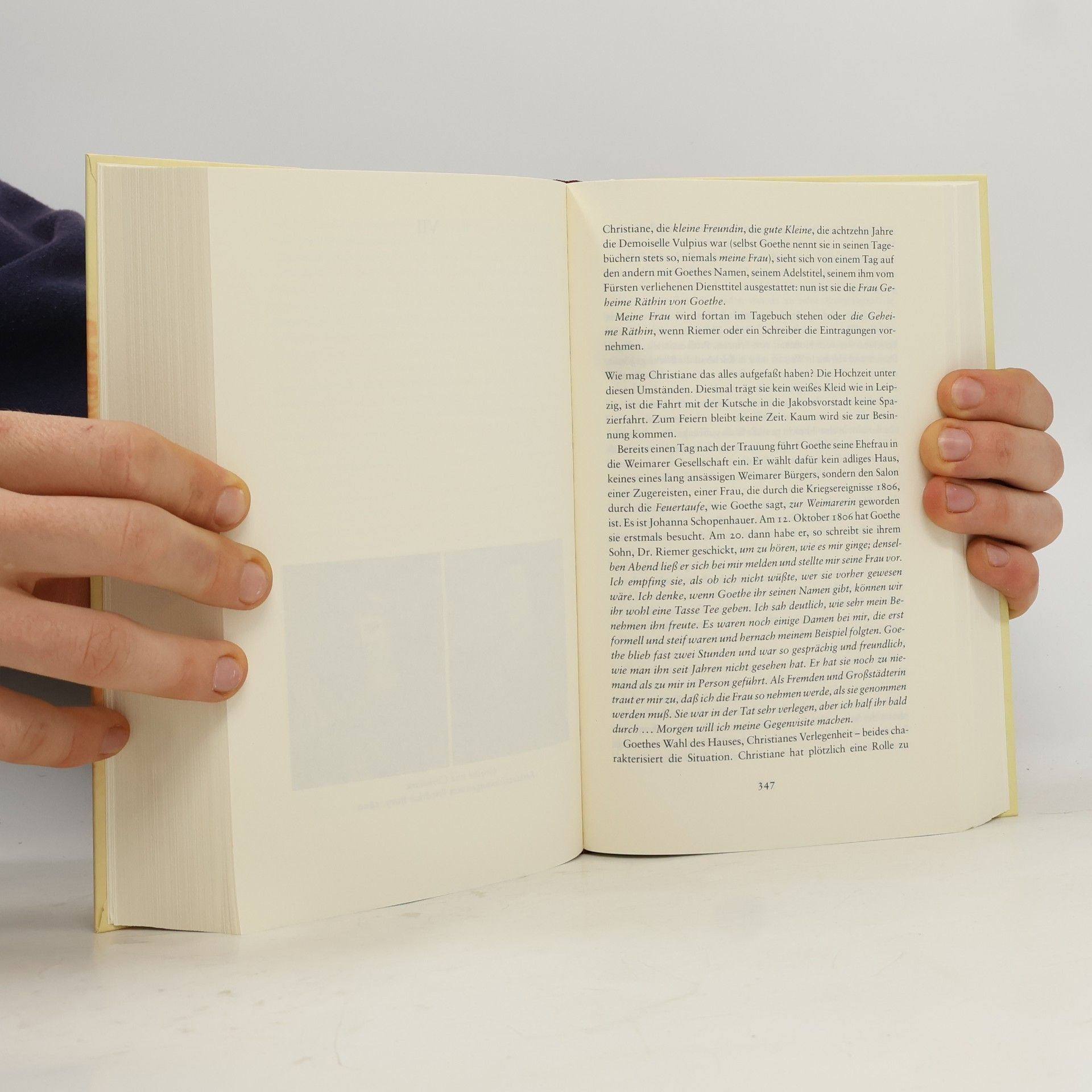 Sigrid Damm Christiane und Goethe