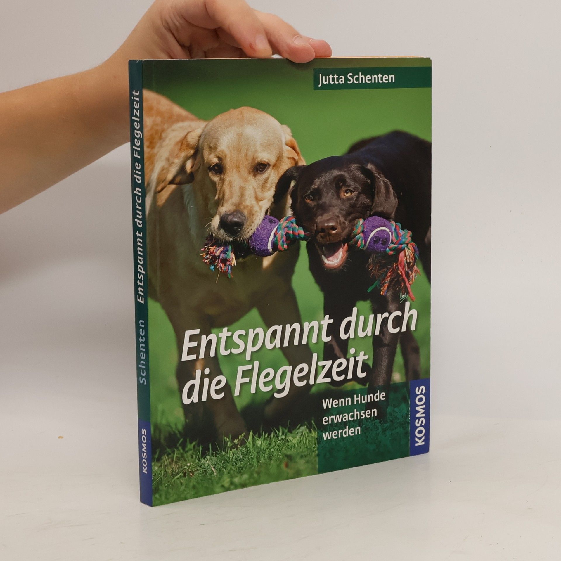 Entspannt durch die Flegelzeit